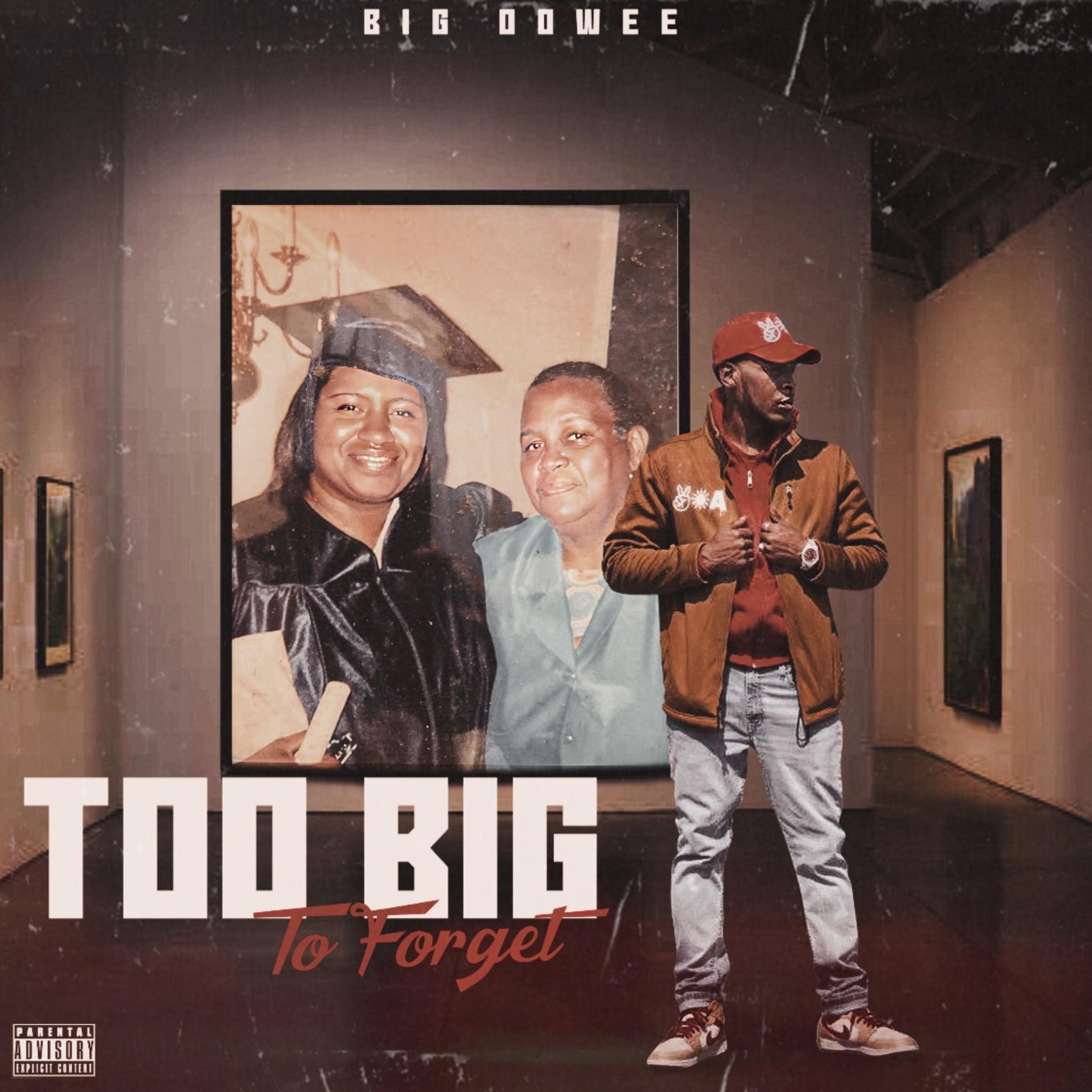 Too Big To Forget artwork