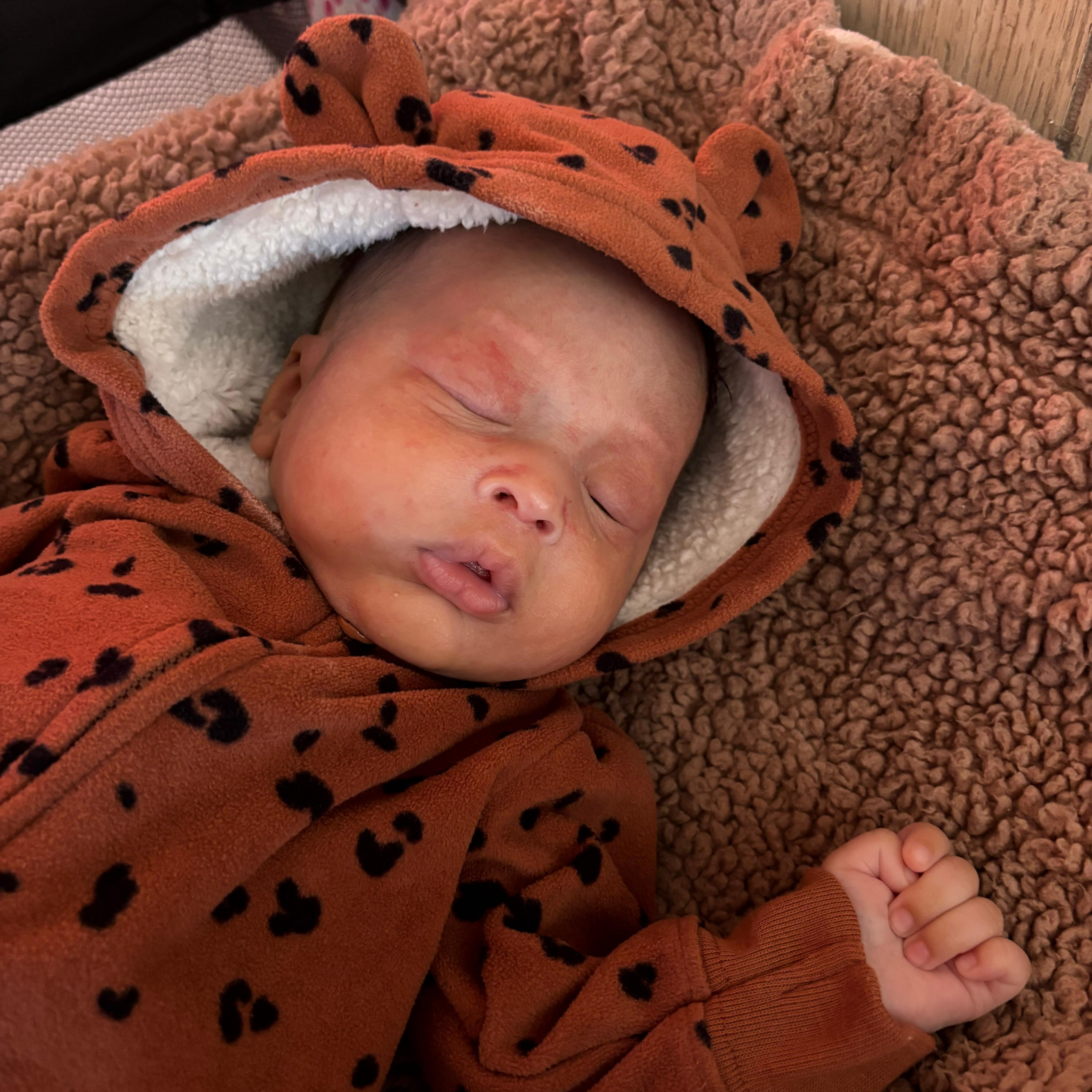 Love in the Trap artwork