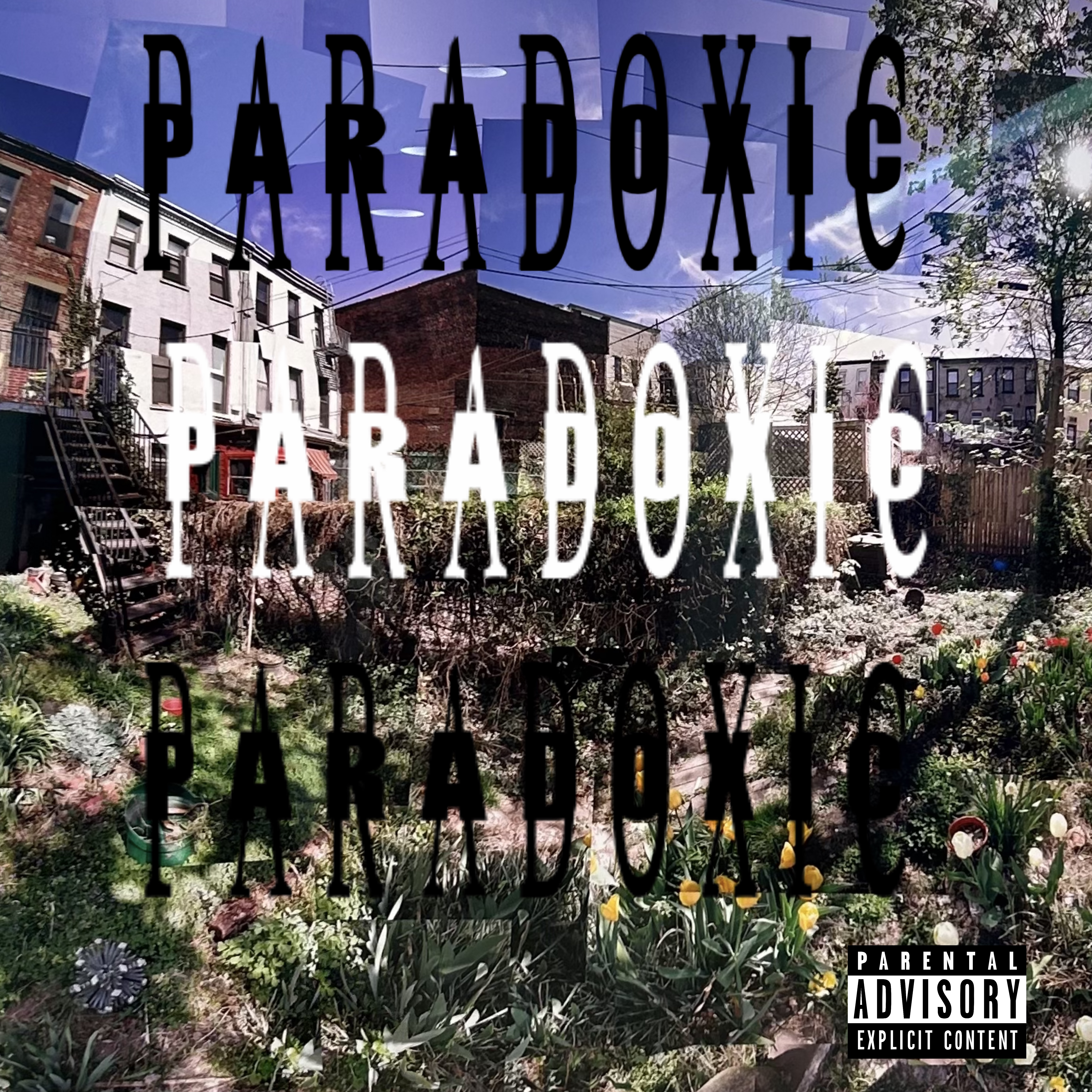 PARADOXIC artwork
