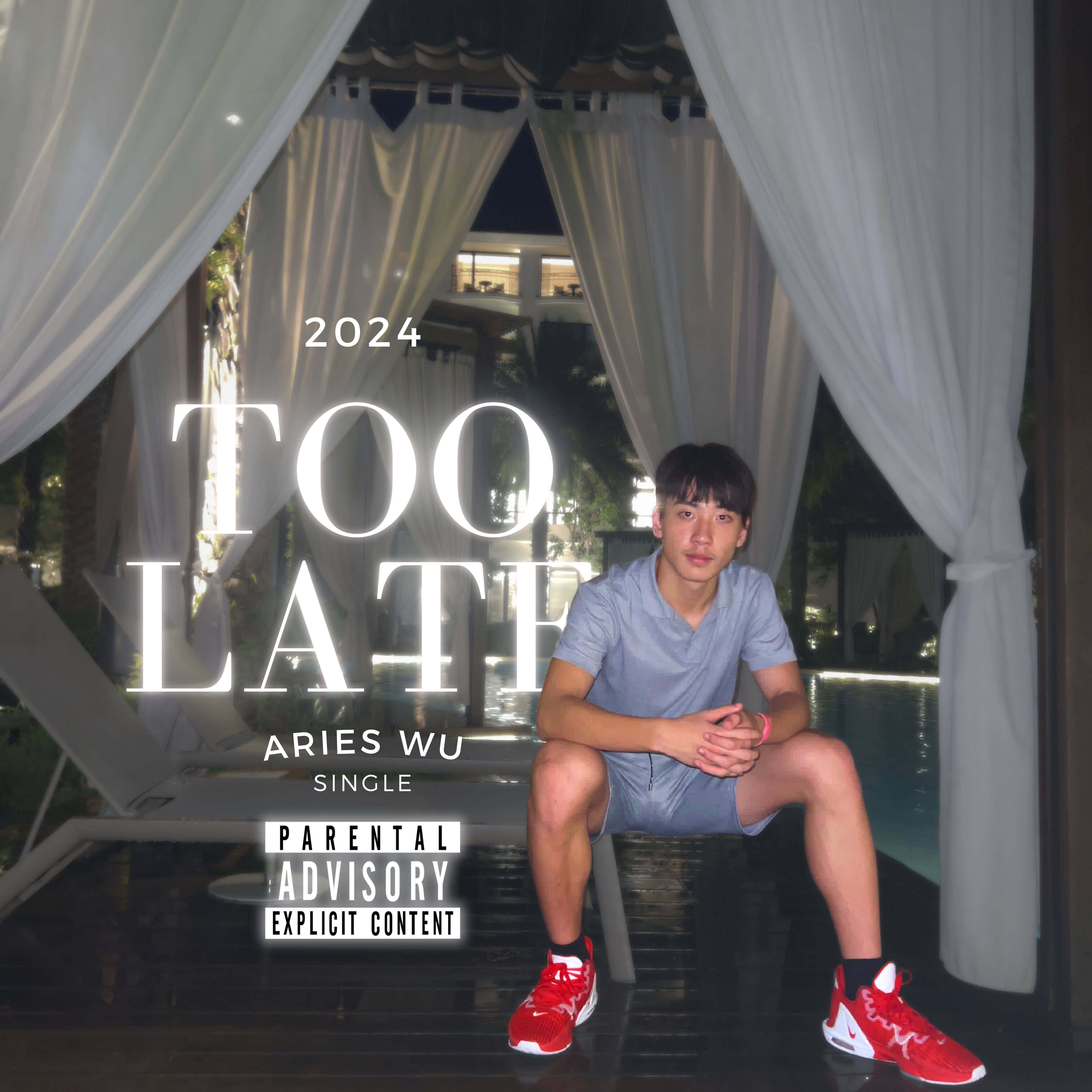 Too Late artwork