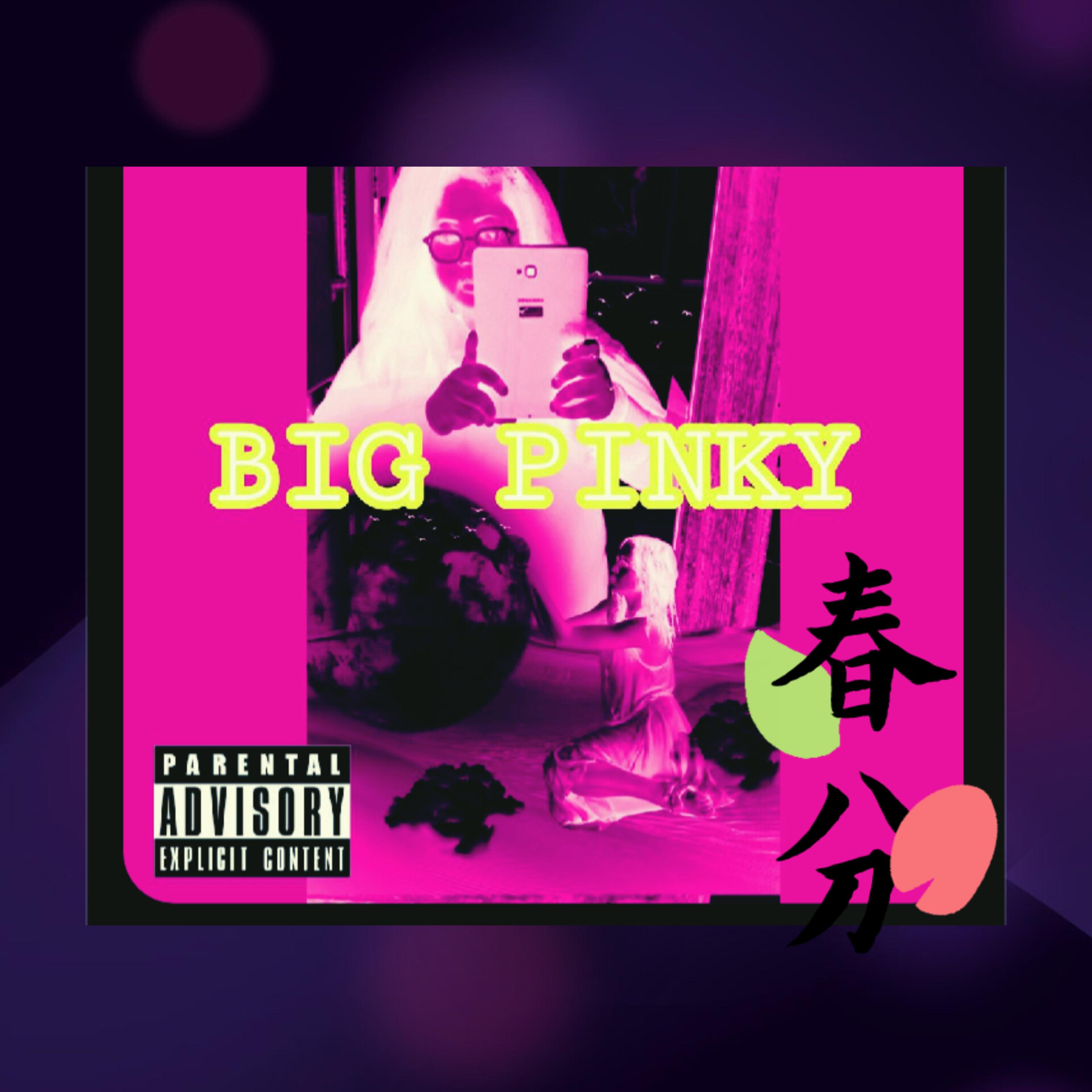 BIG PINKY artwork