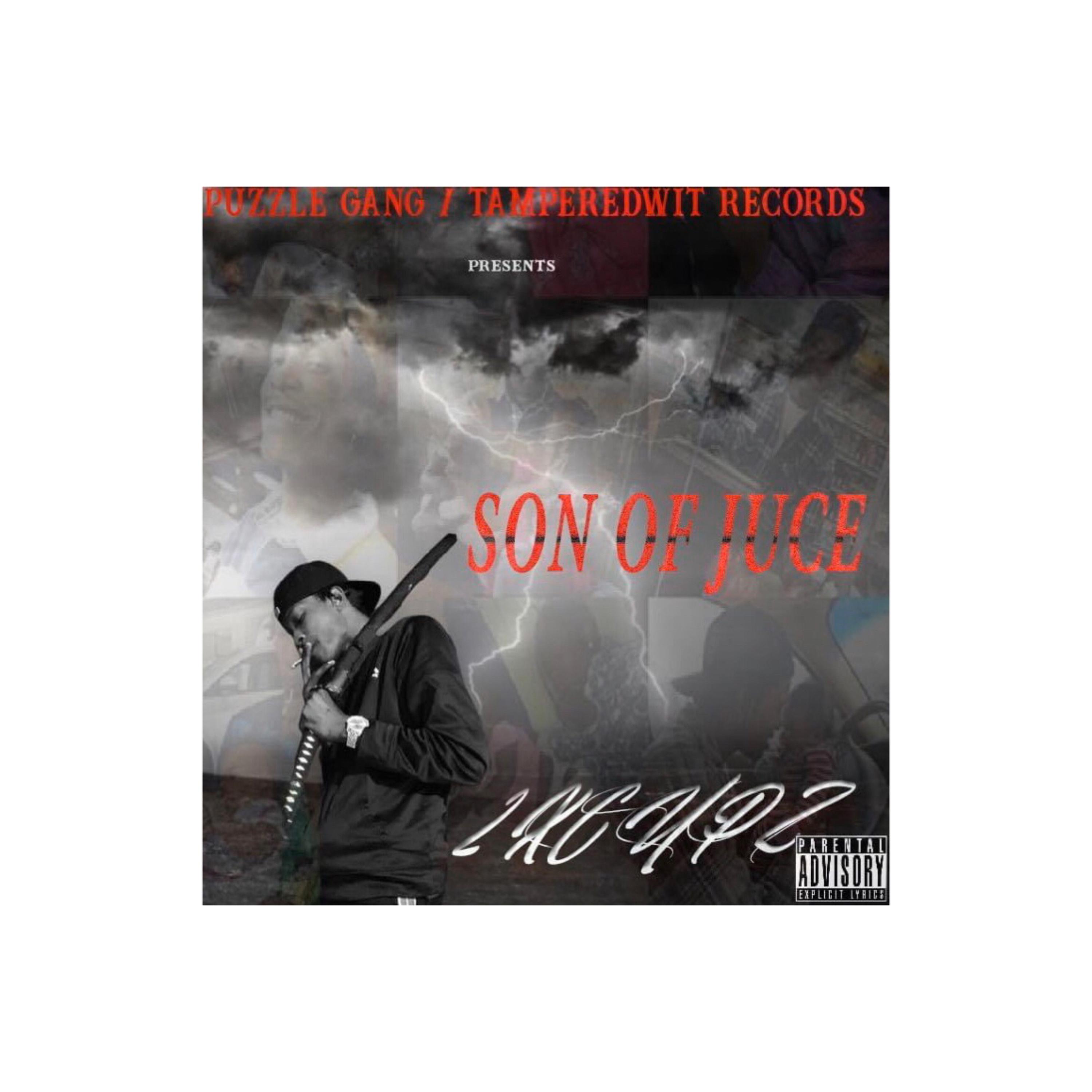 Son Of Juce artwork