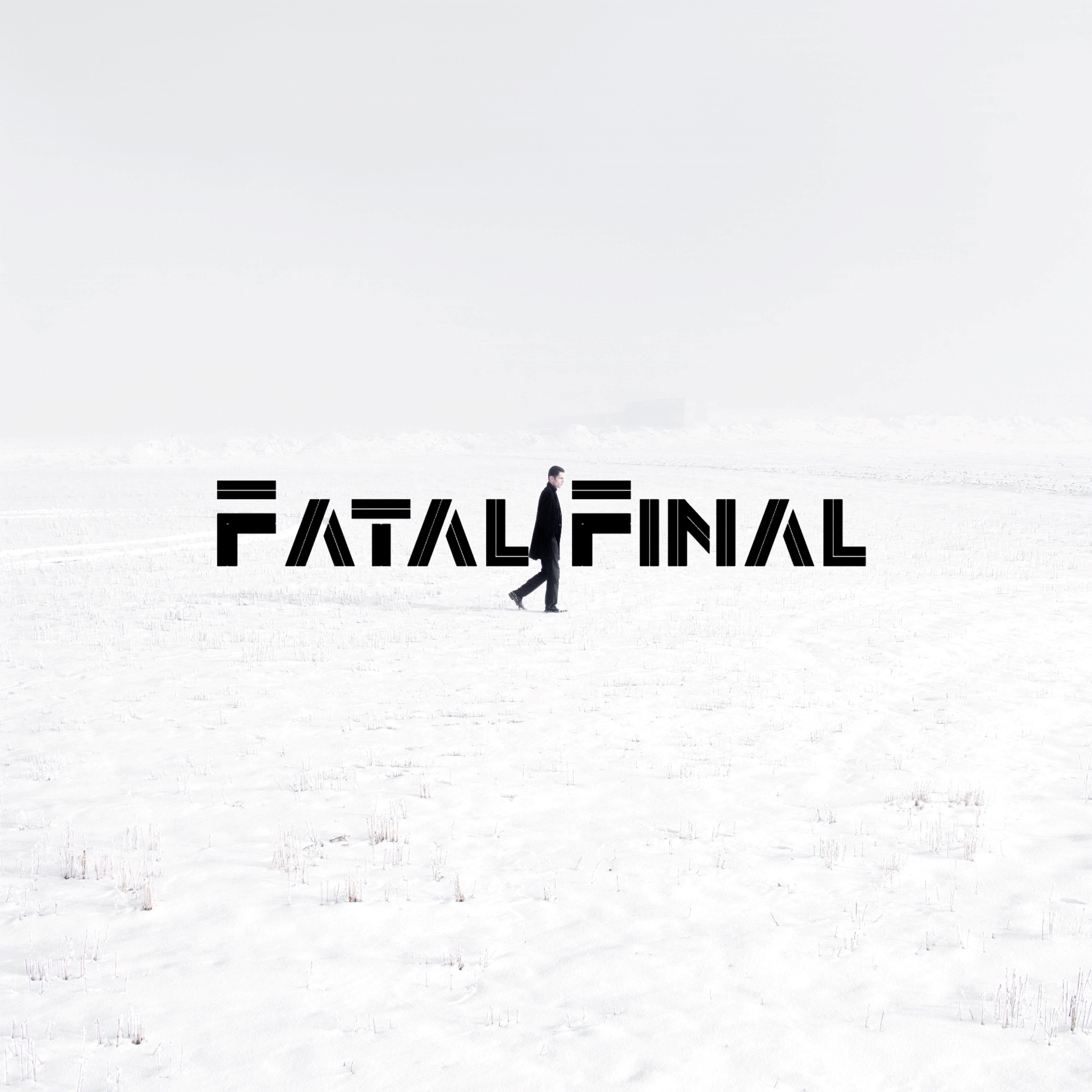 FATAL FINAL artwork