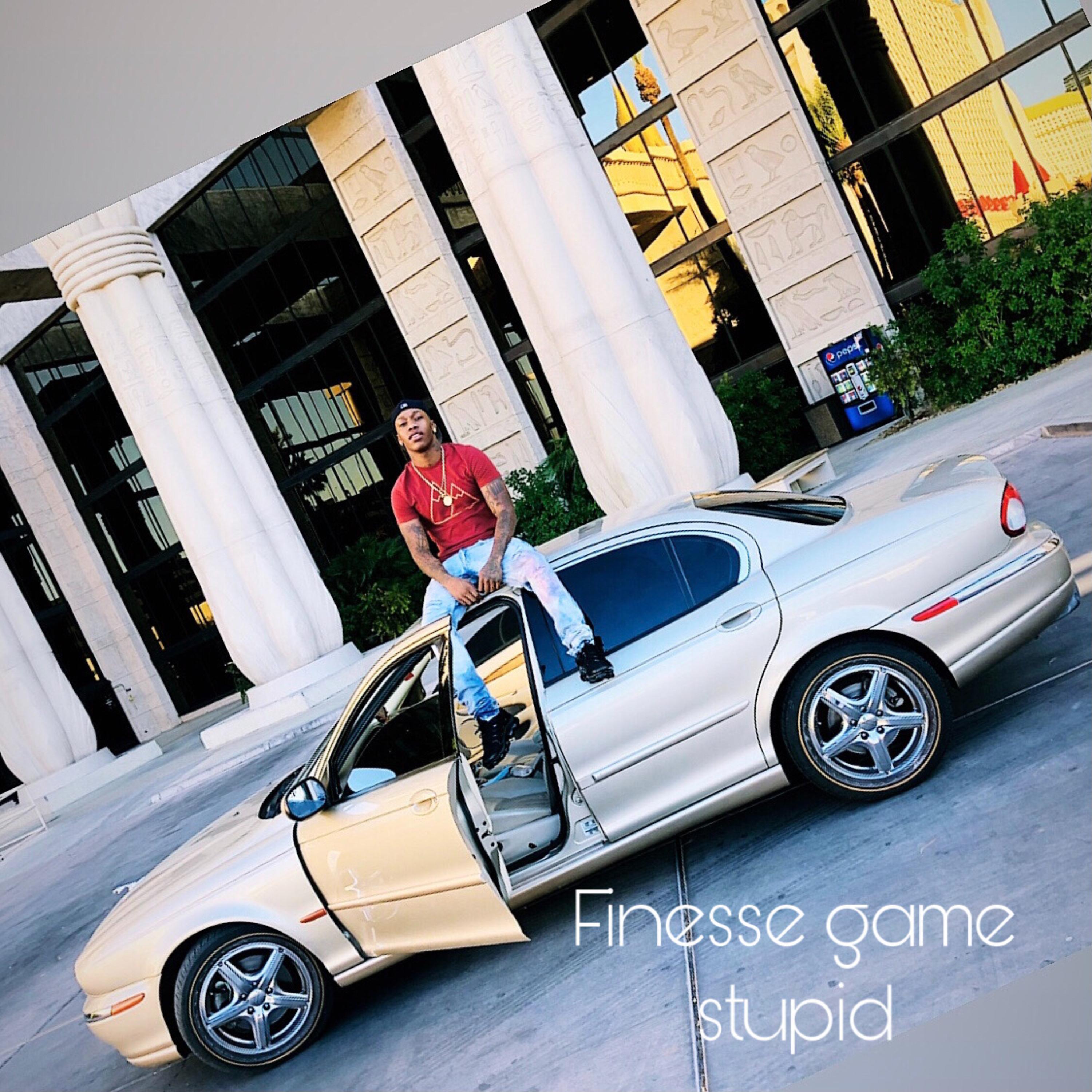 Finesse Game Stupid artwork