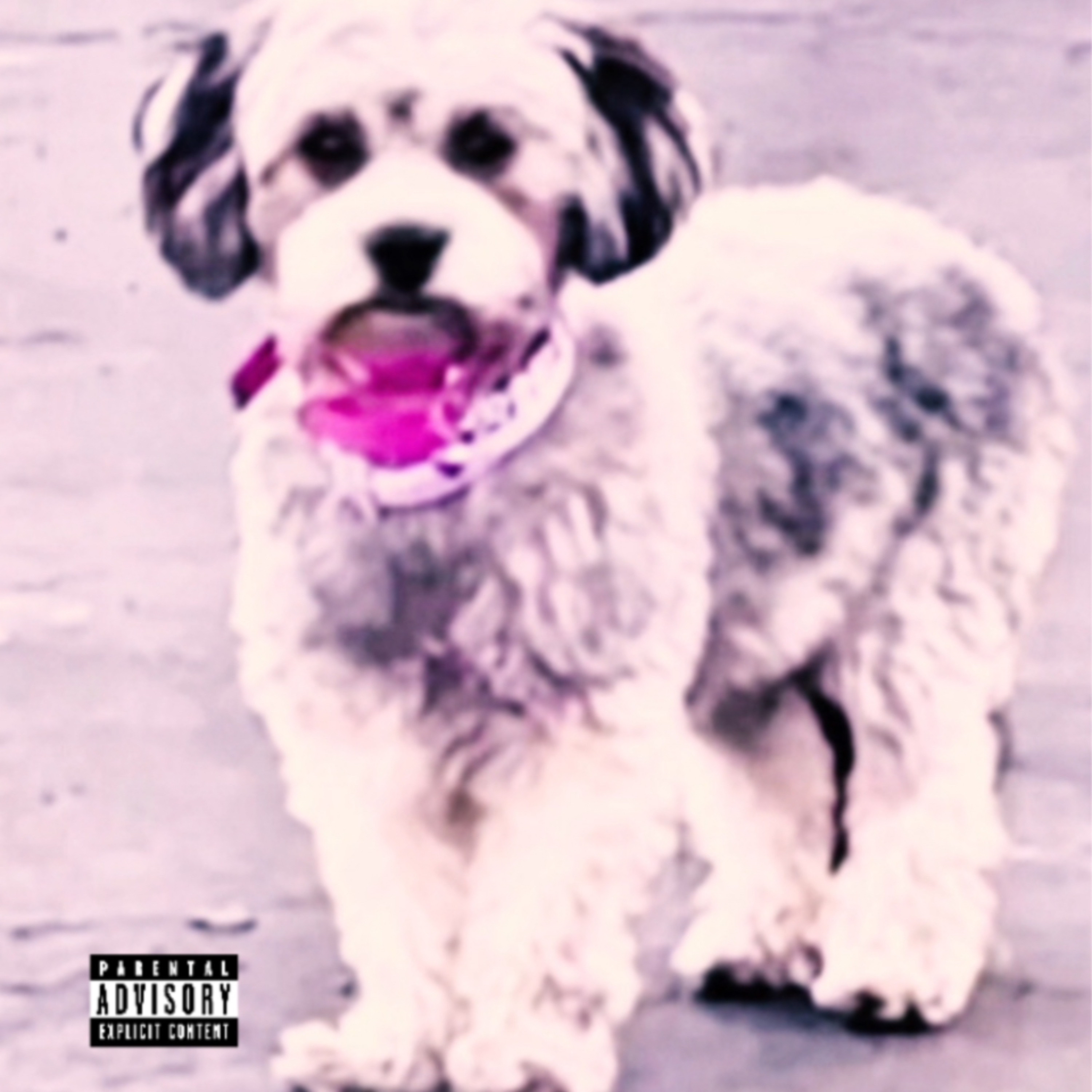 Girl Dog artwork