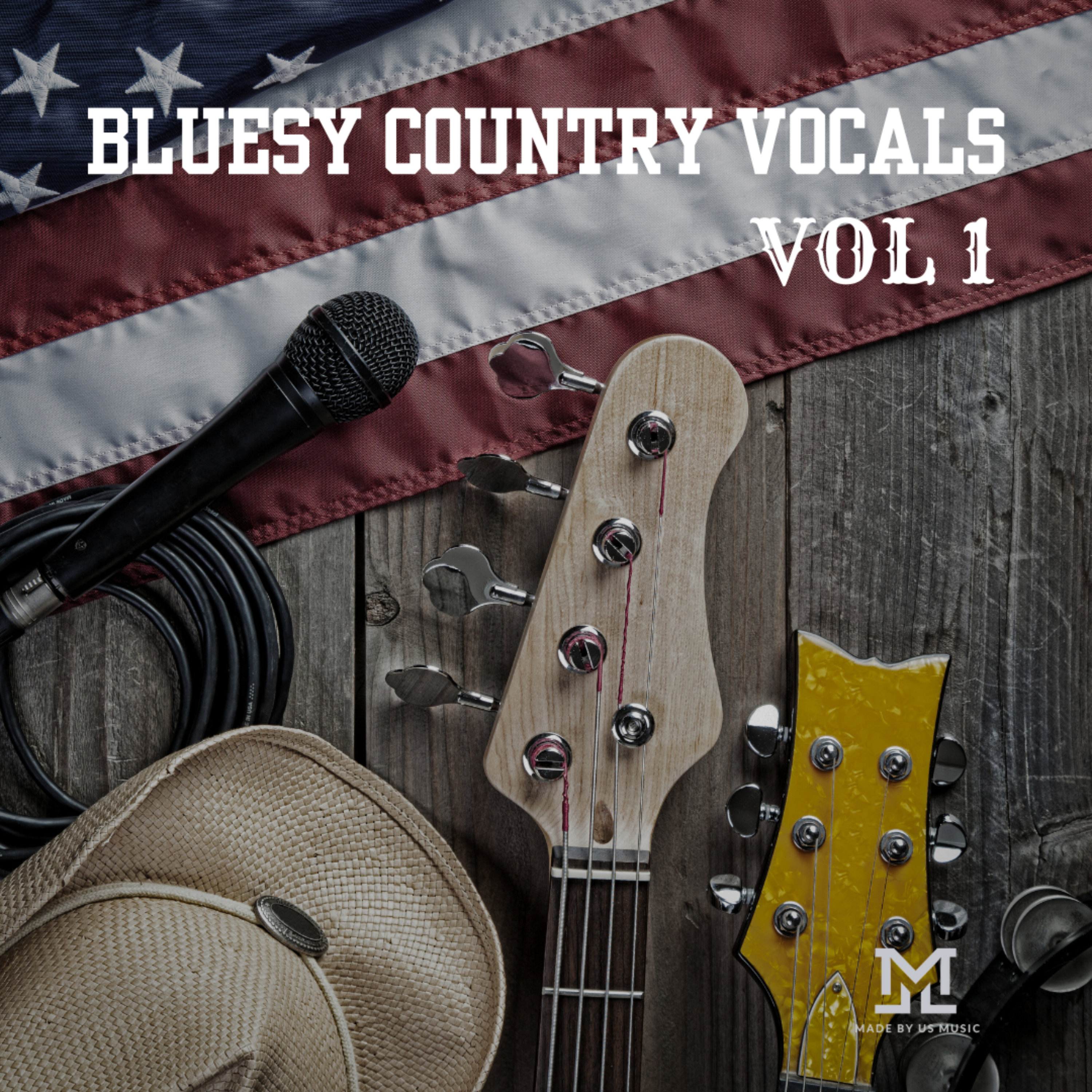Bluesy Country Vocals Vol 1 artwork