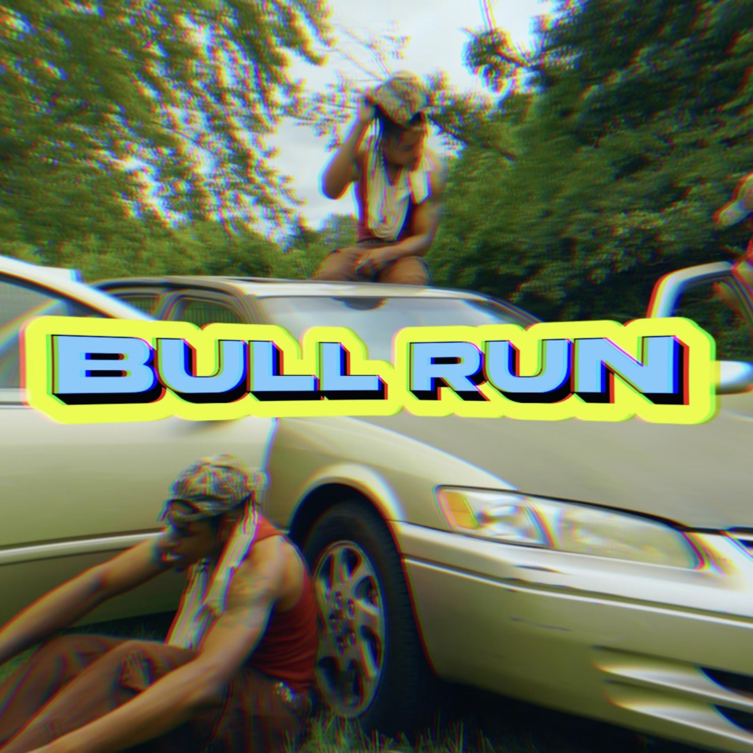 Bull Run artwork