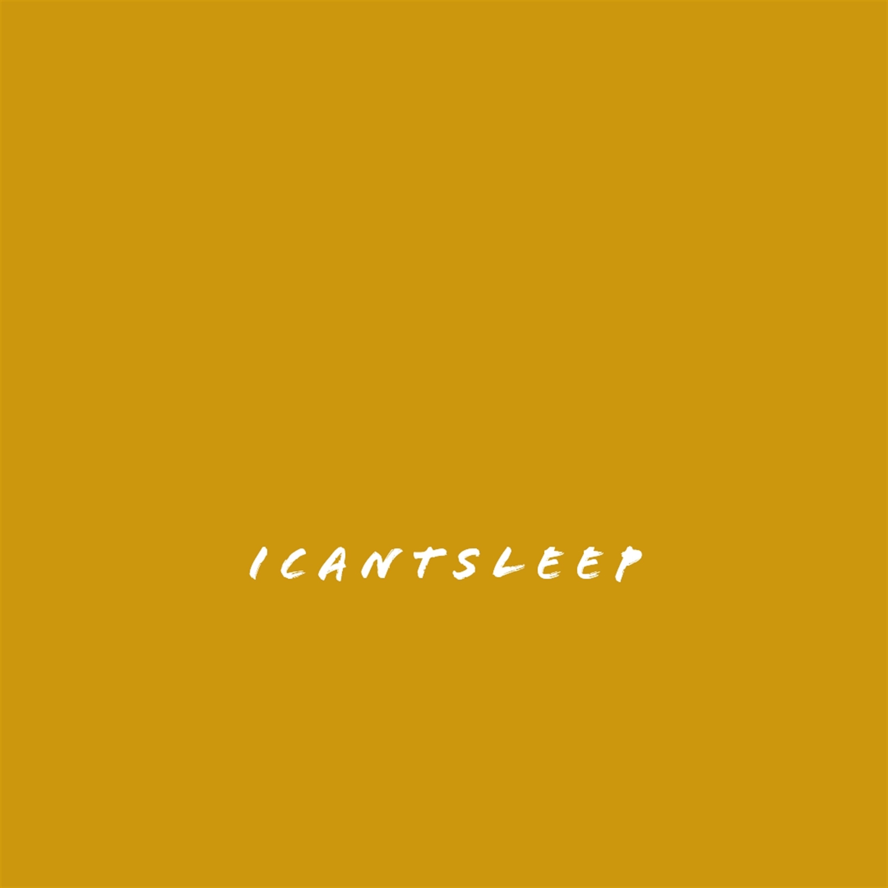 I C A N T S L E E P artwork
