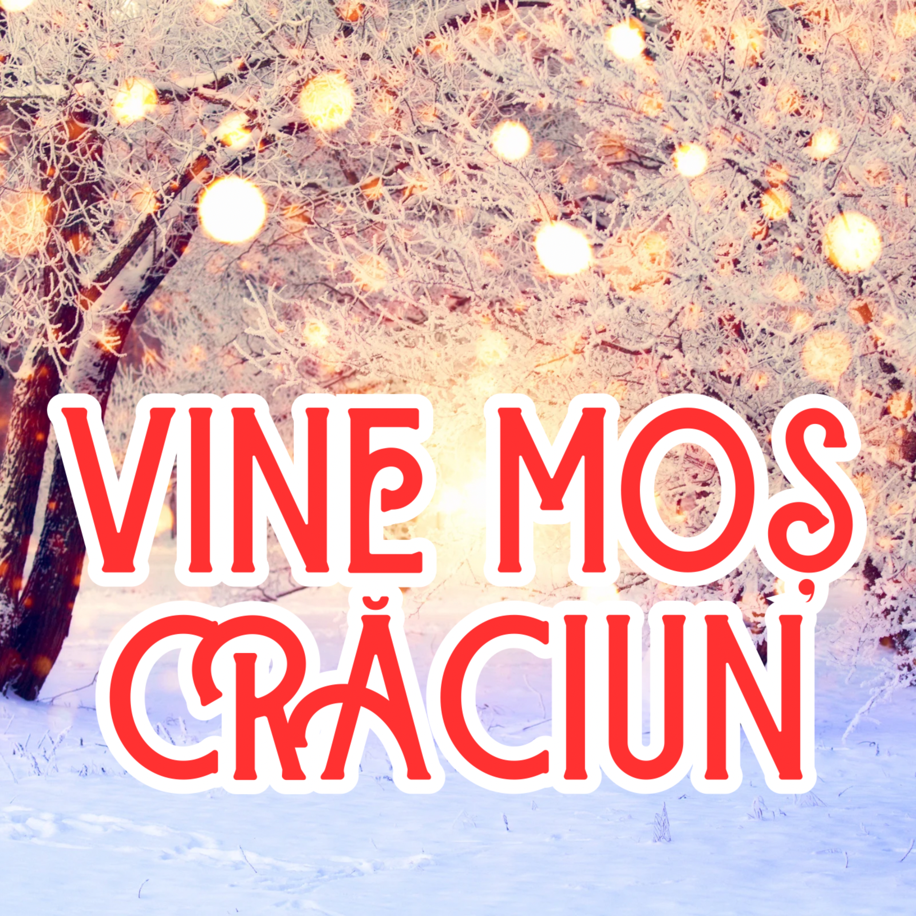 Vine Moș Crăciun artwork