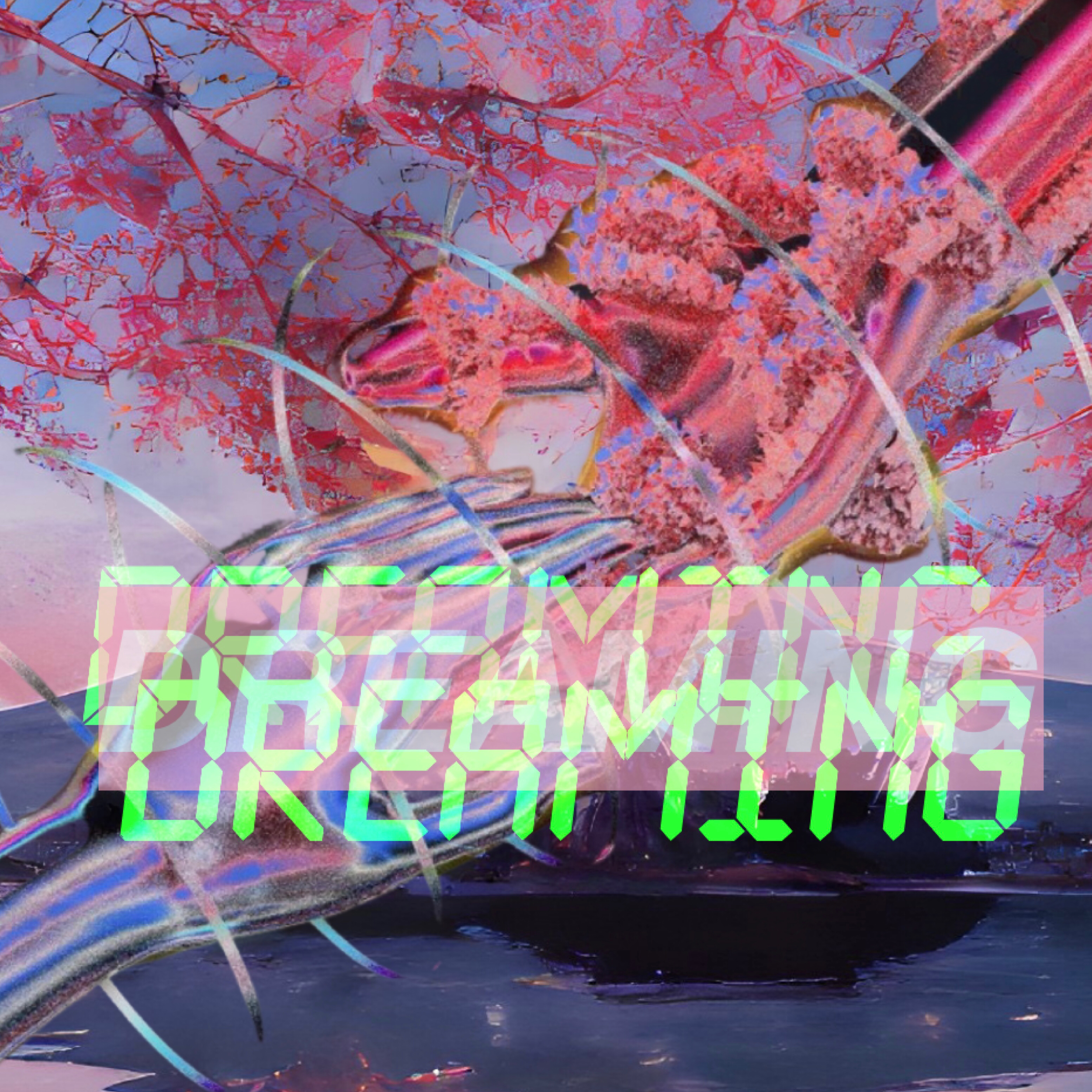 Dreaming artwork