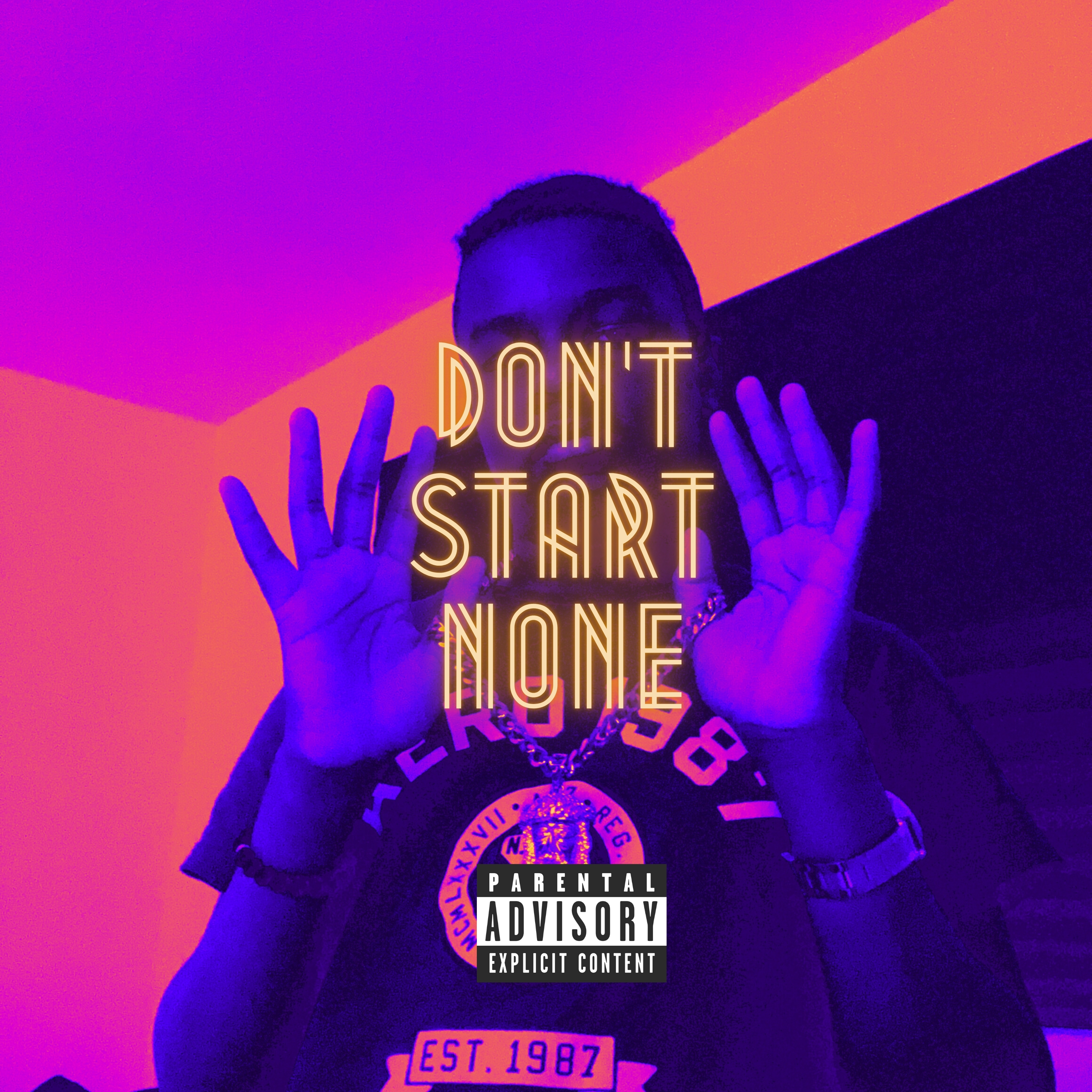 Don't Start None artwork