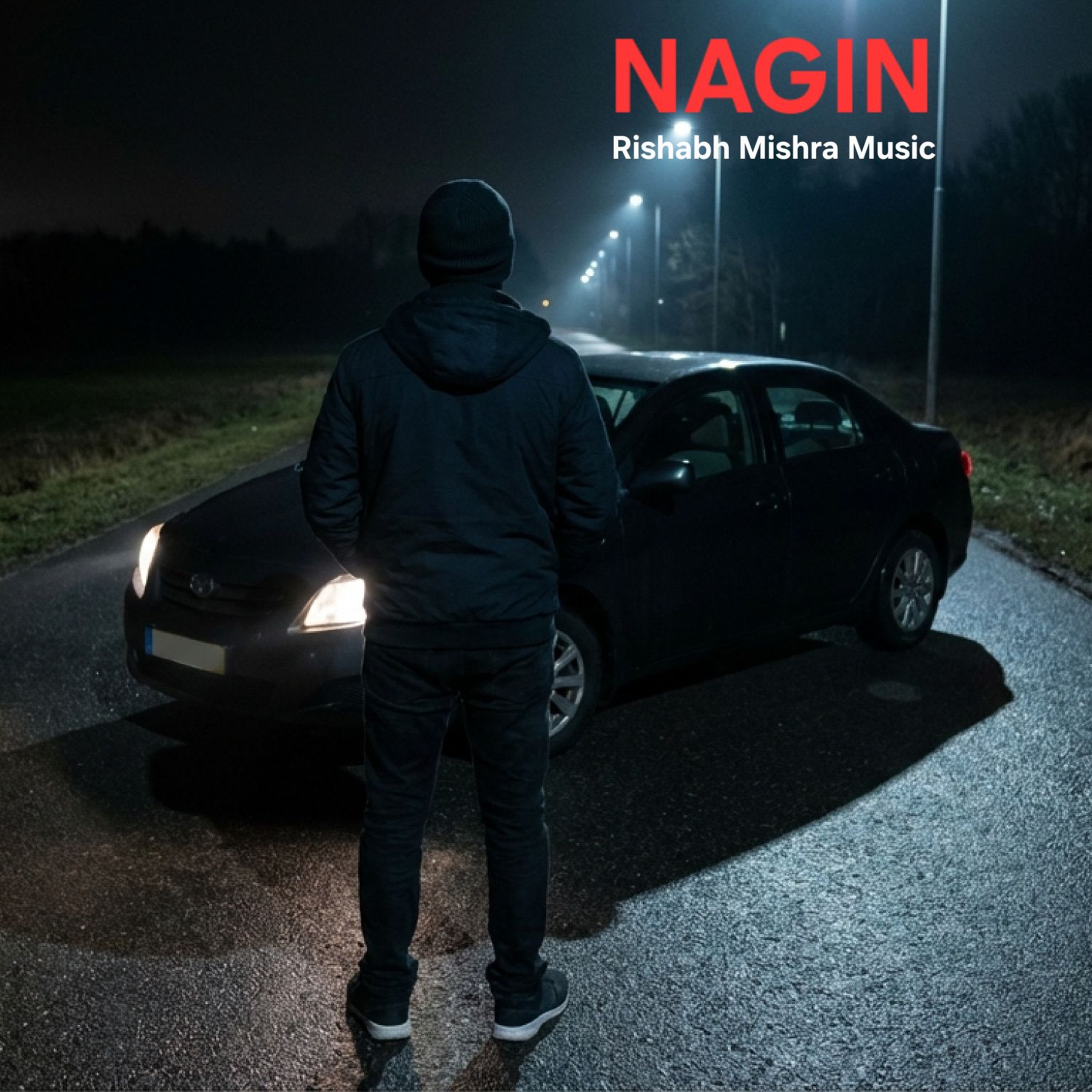 NAGIN artwork