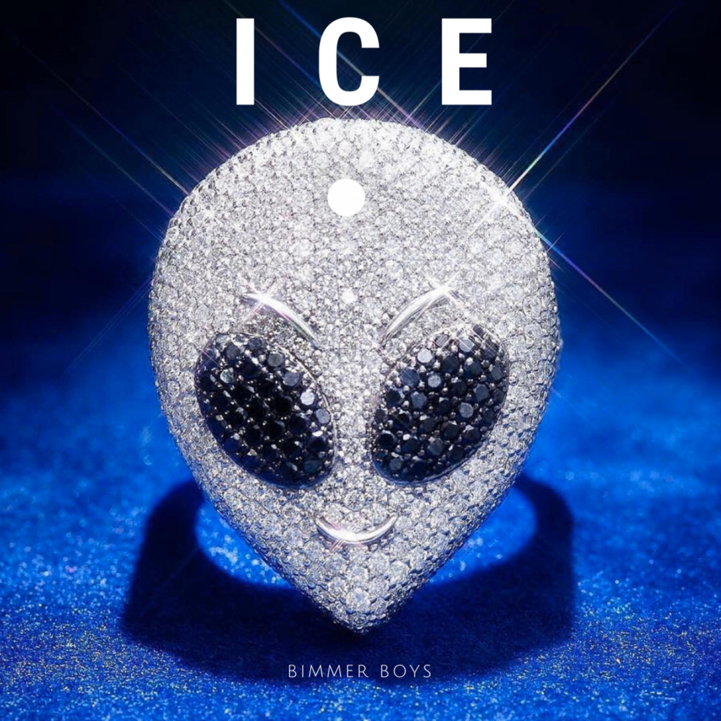 ICE artwork