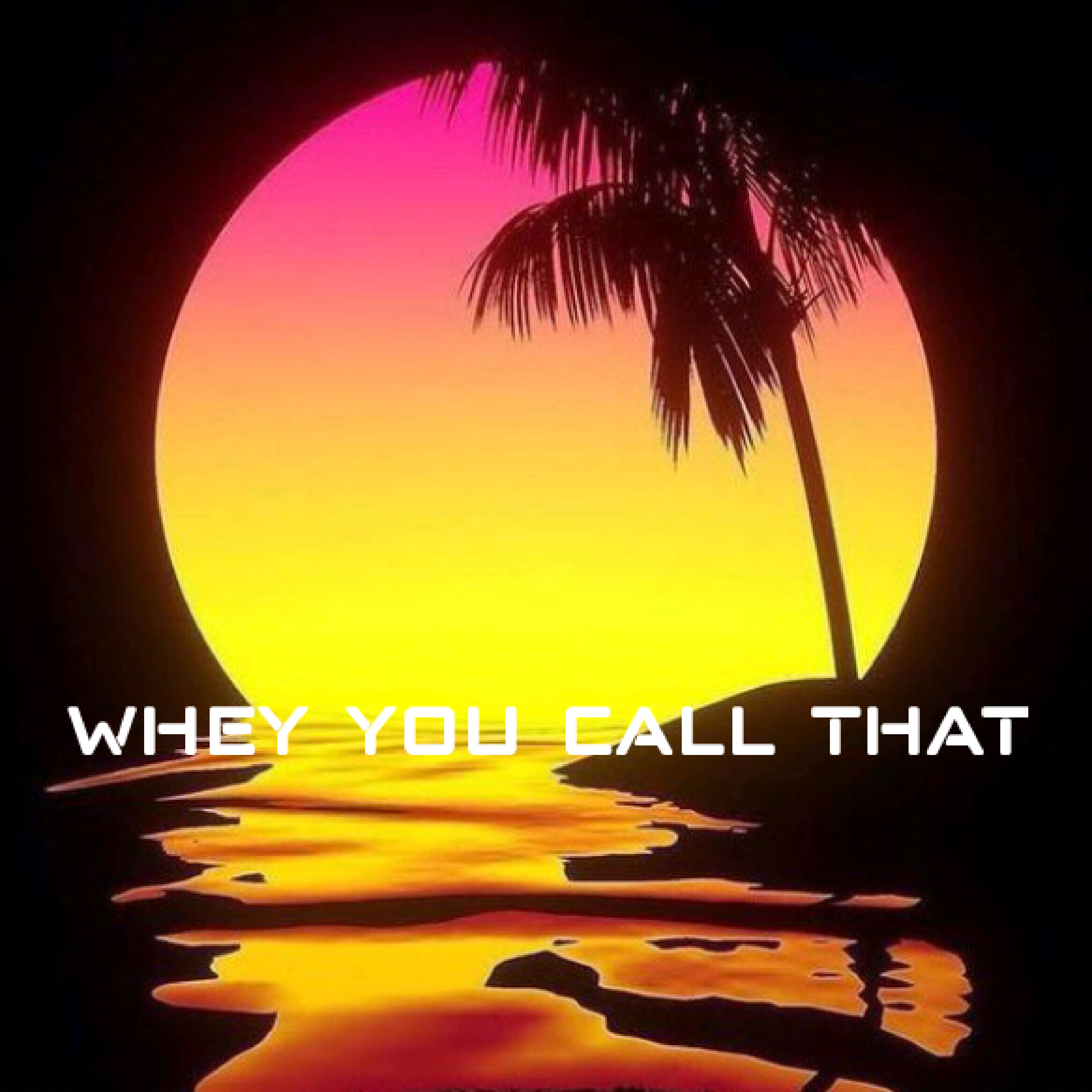 What You Call That by Insane Duece cover art