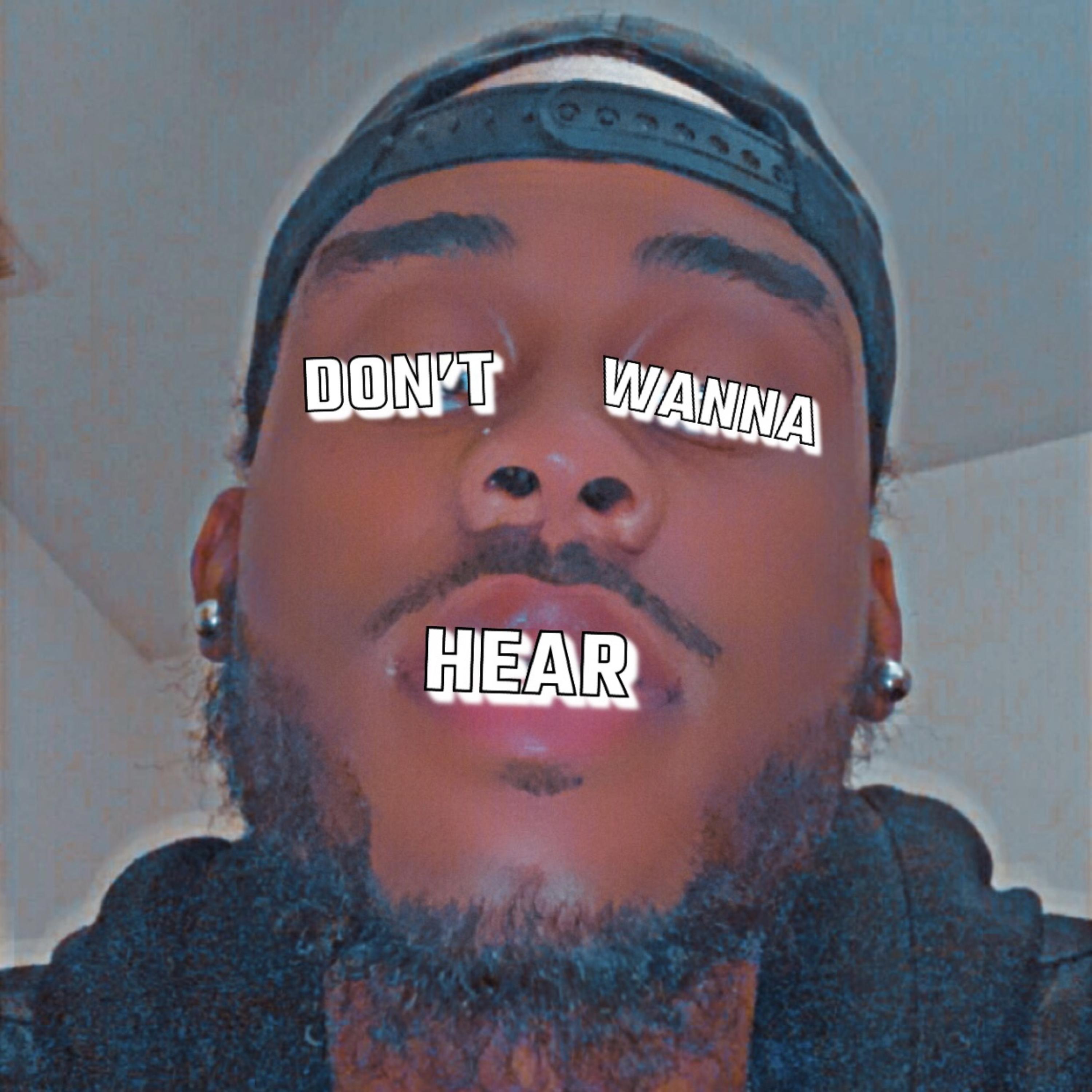 Don't Wanna Hear artwork