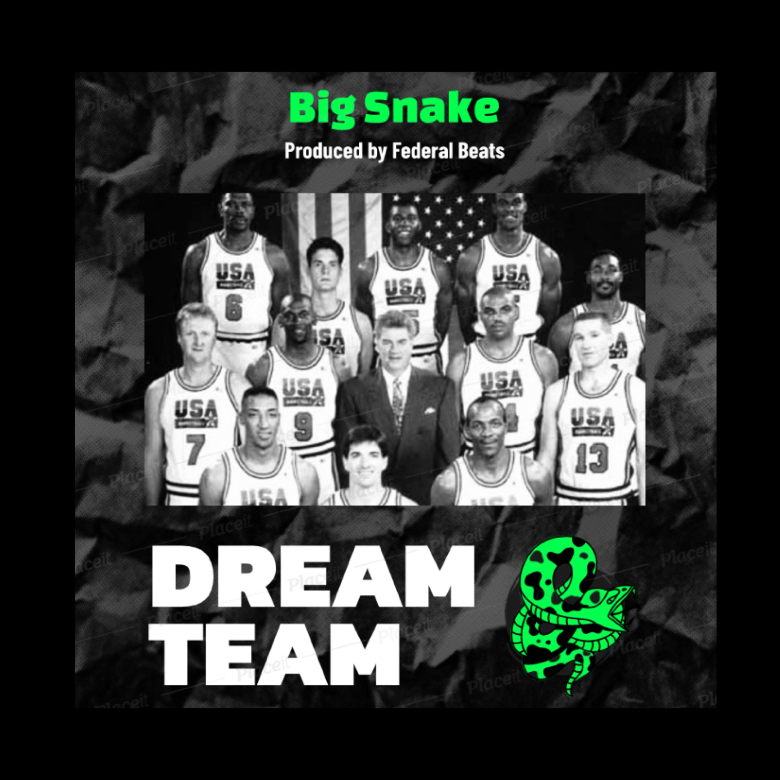 Dream Team by Big Snake cover art