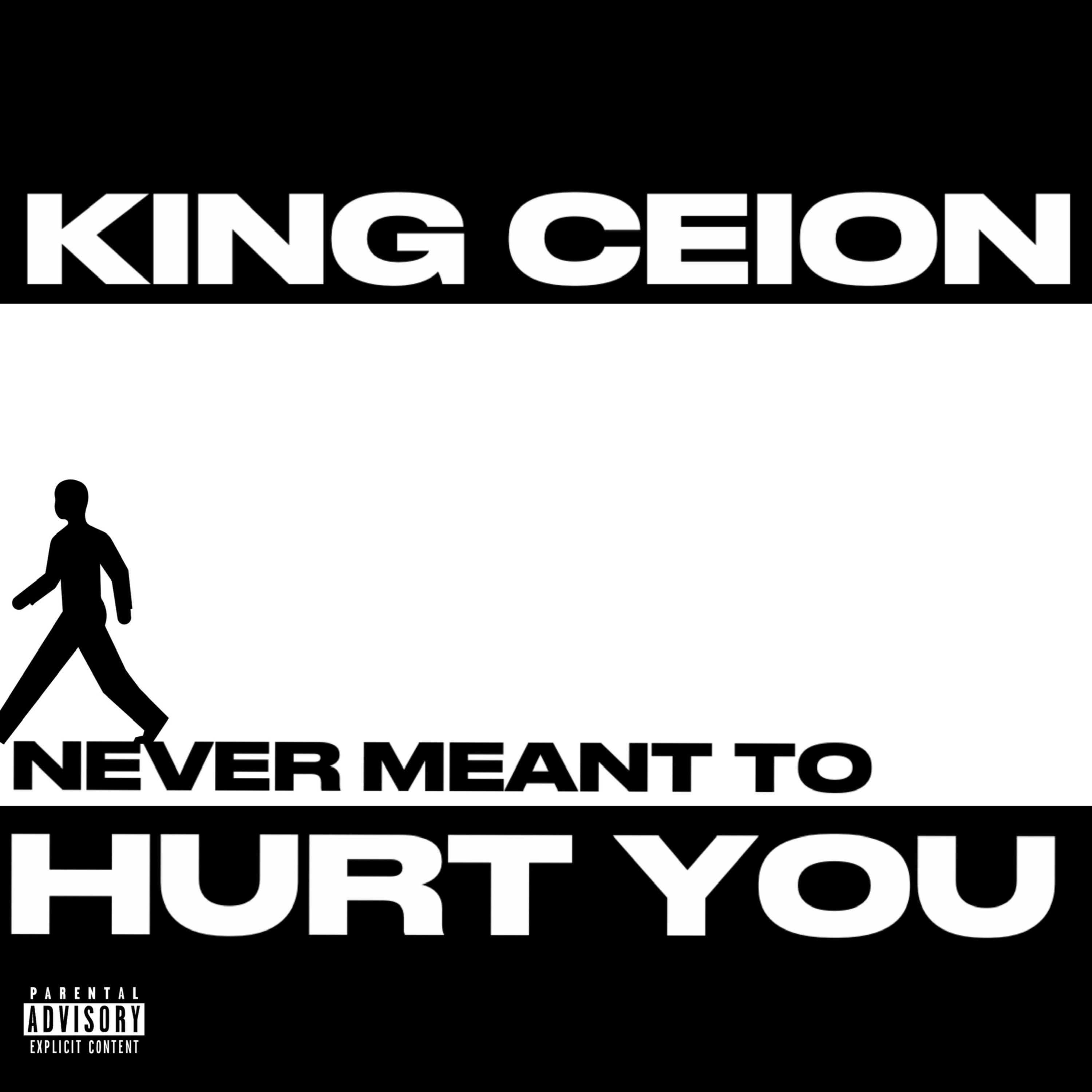 Never Meant To Hurt You artwork