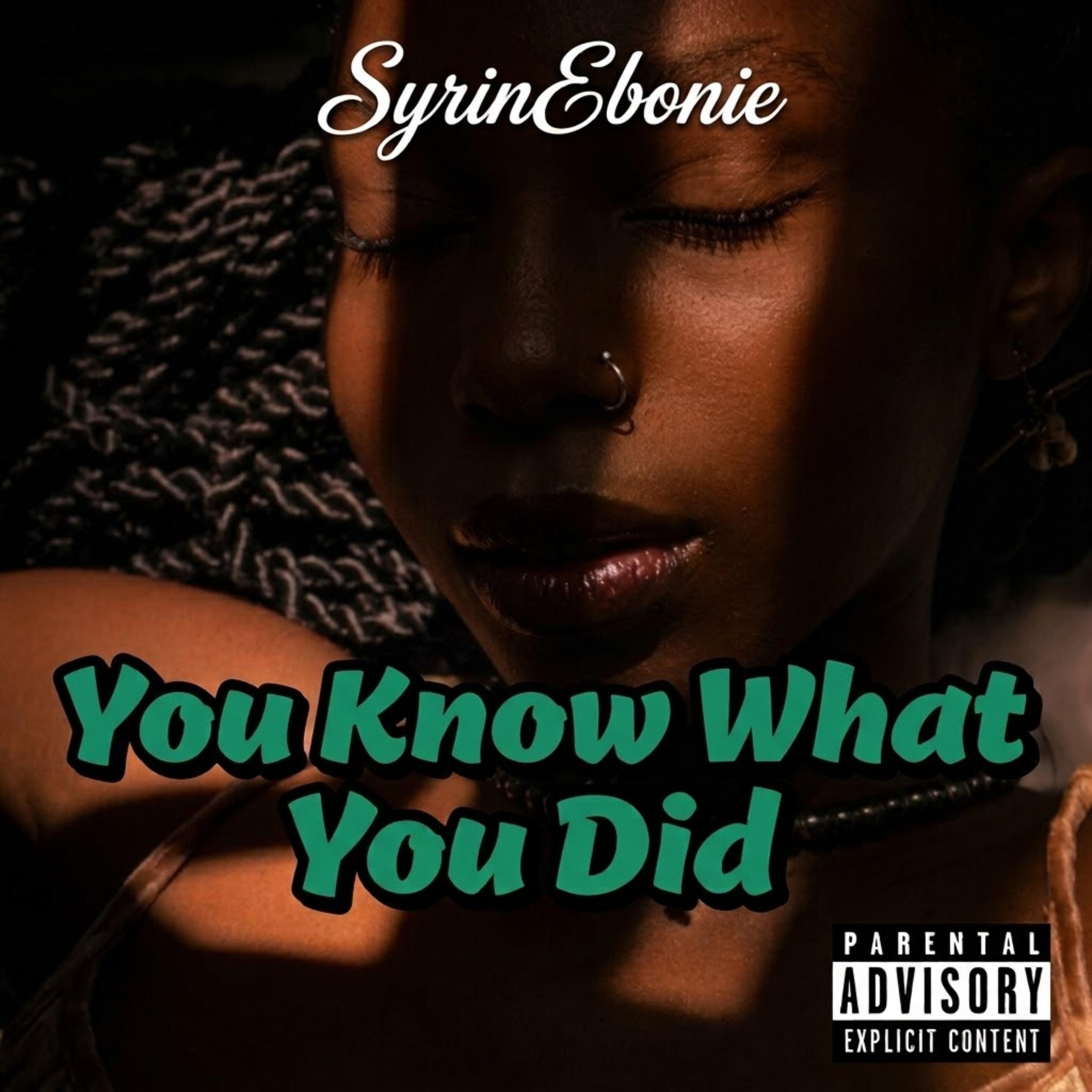 You  Know What You Did by SyrinEbonie cover art