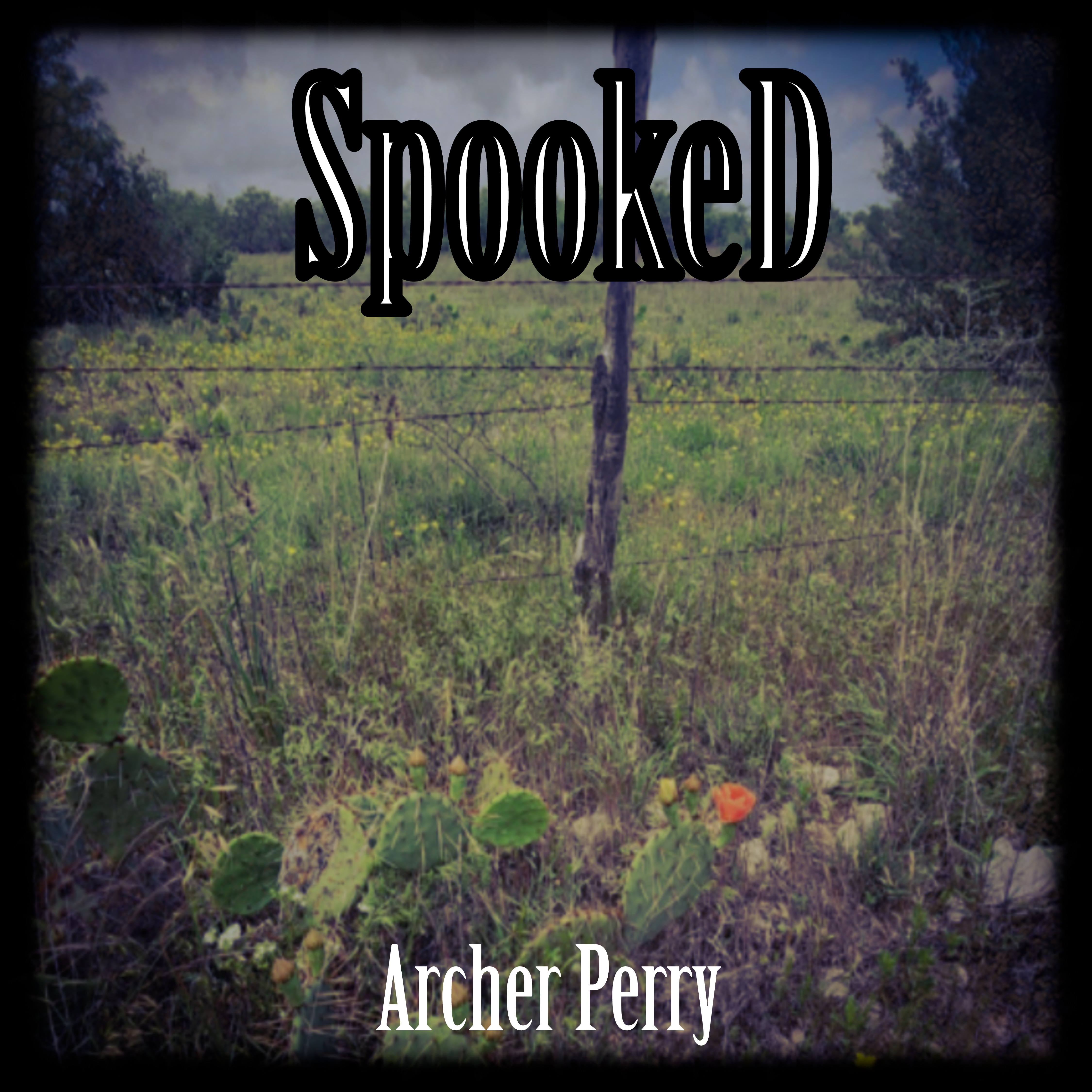 SpookeD artwork