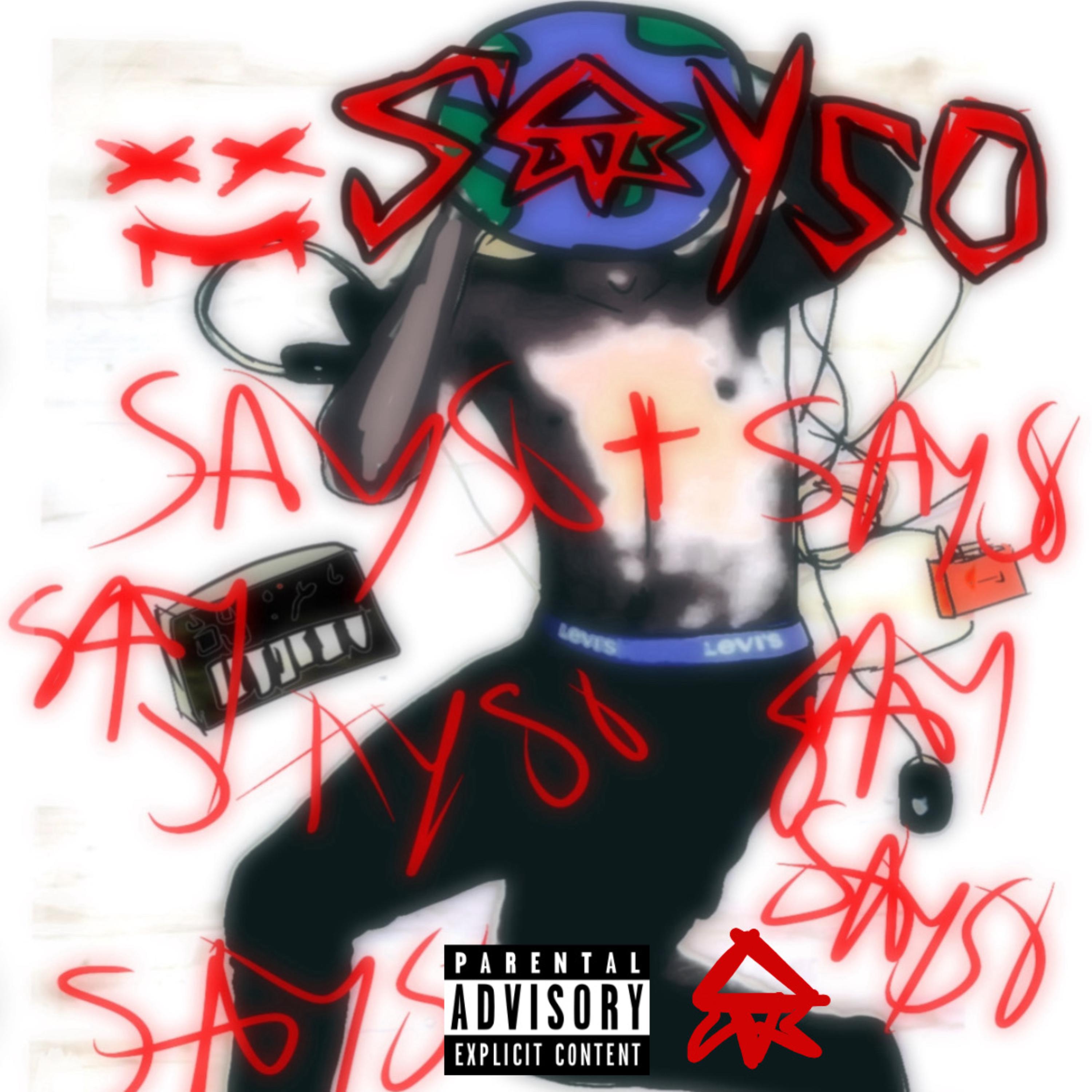sayso artwork