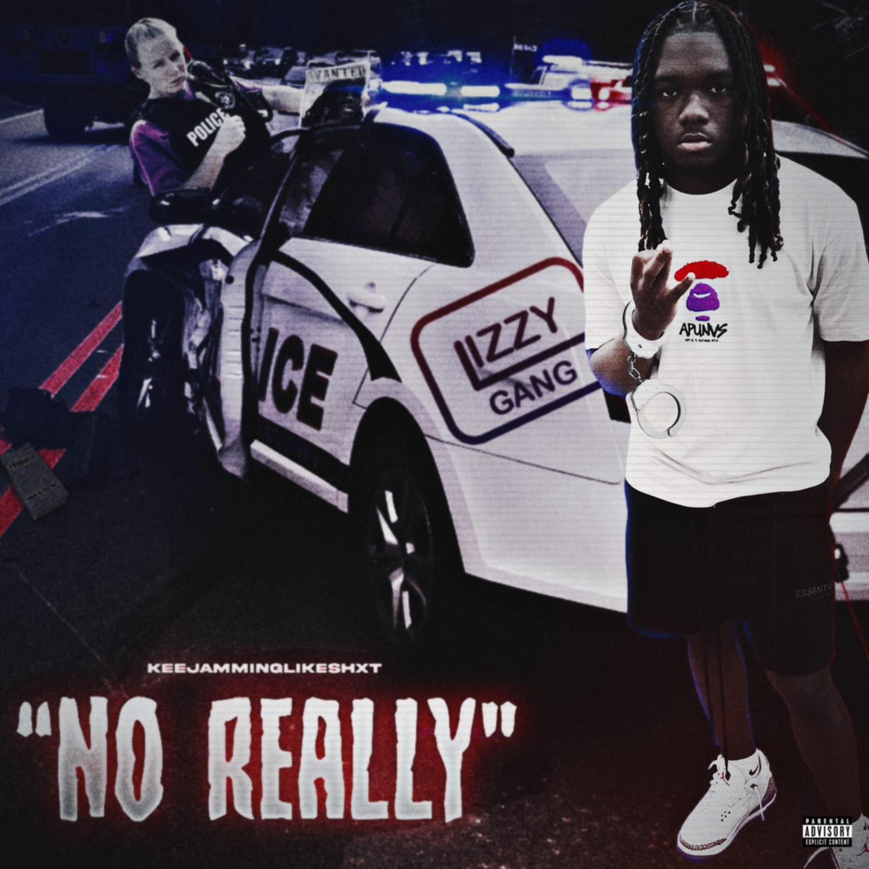 No Really artwork