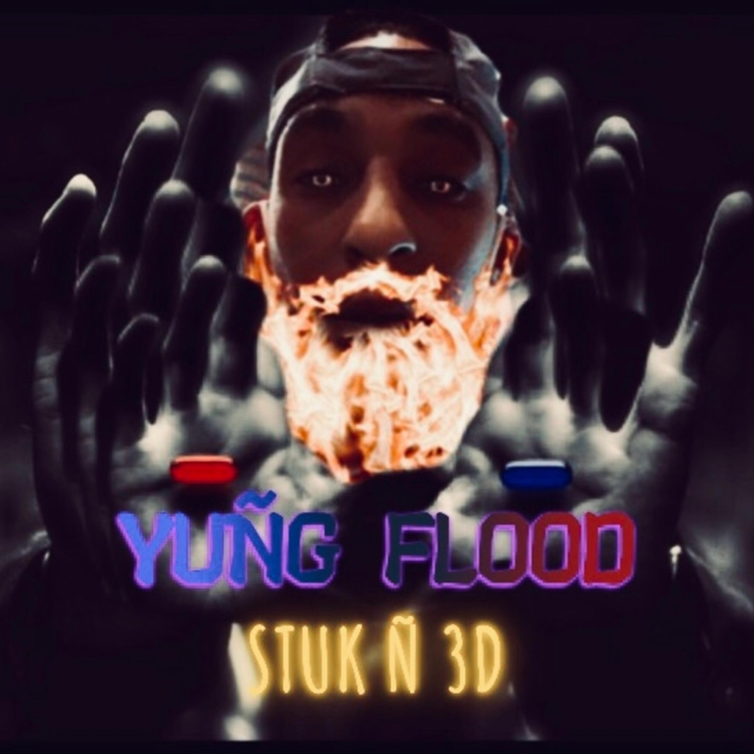 Stuk Ñ 3D artwork