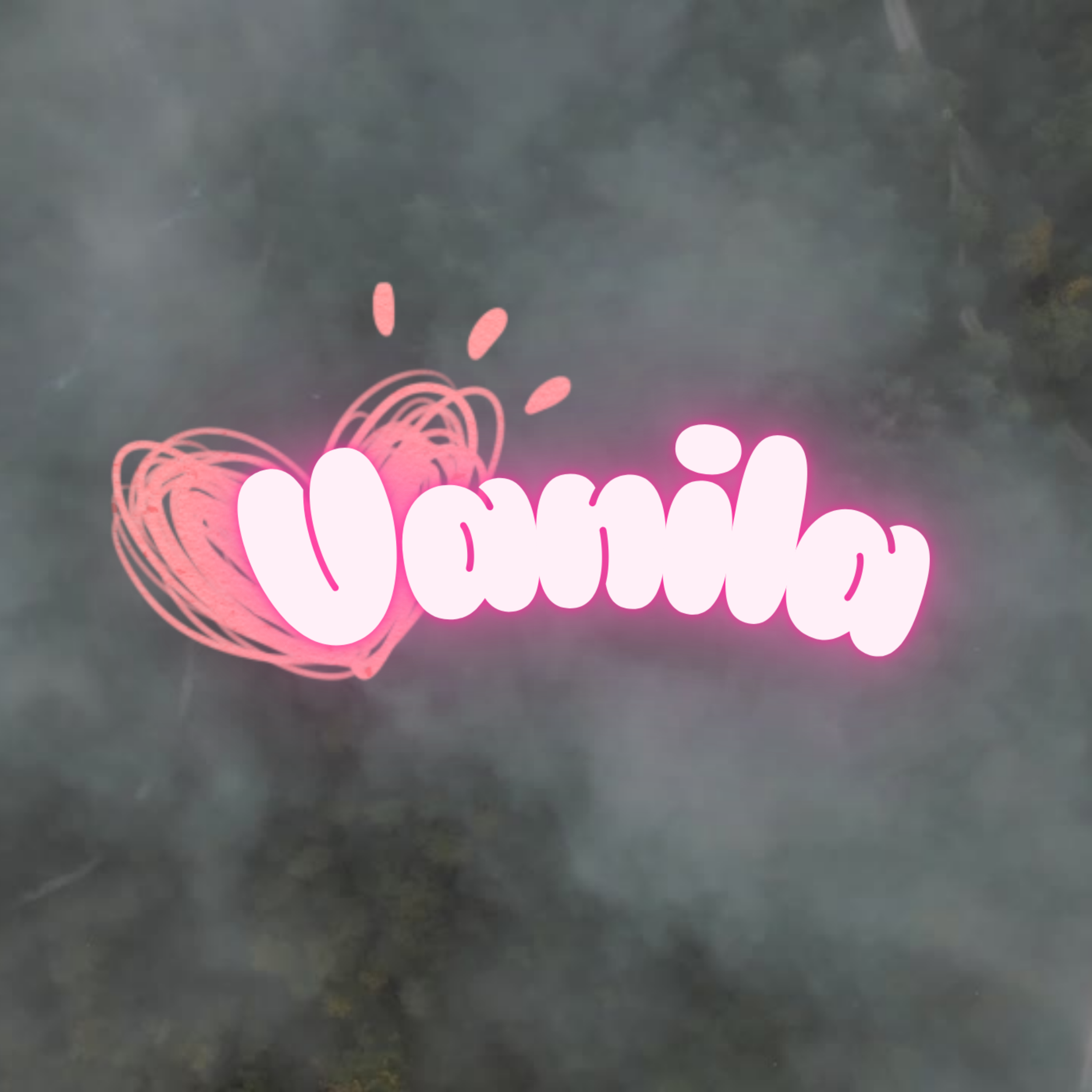 Vanila artwork