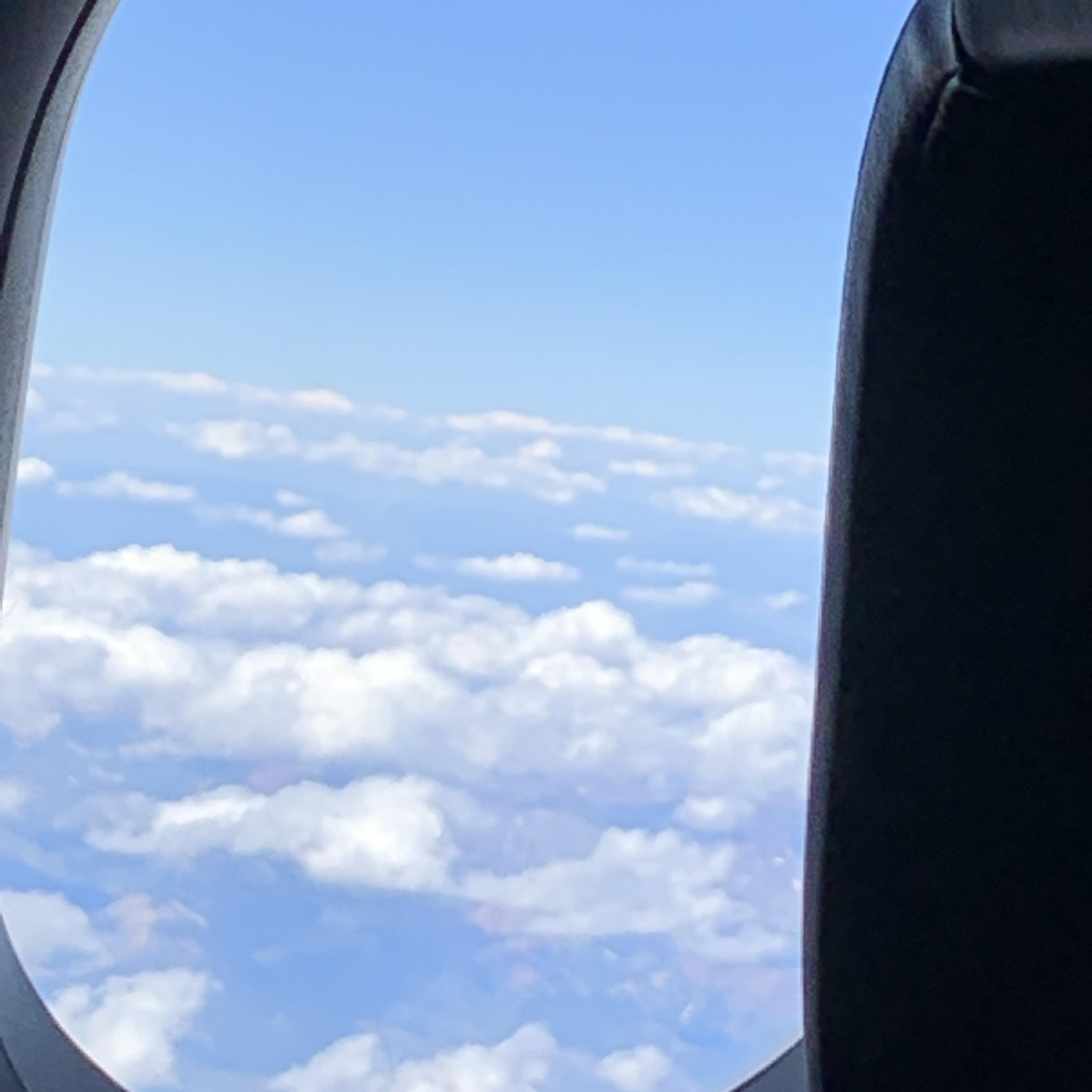 Salt Of The Earth artwork