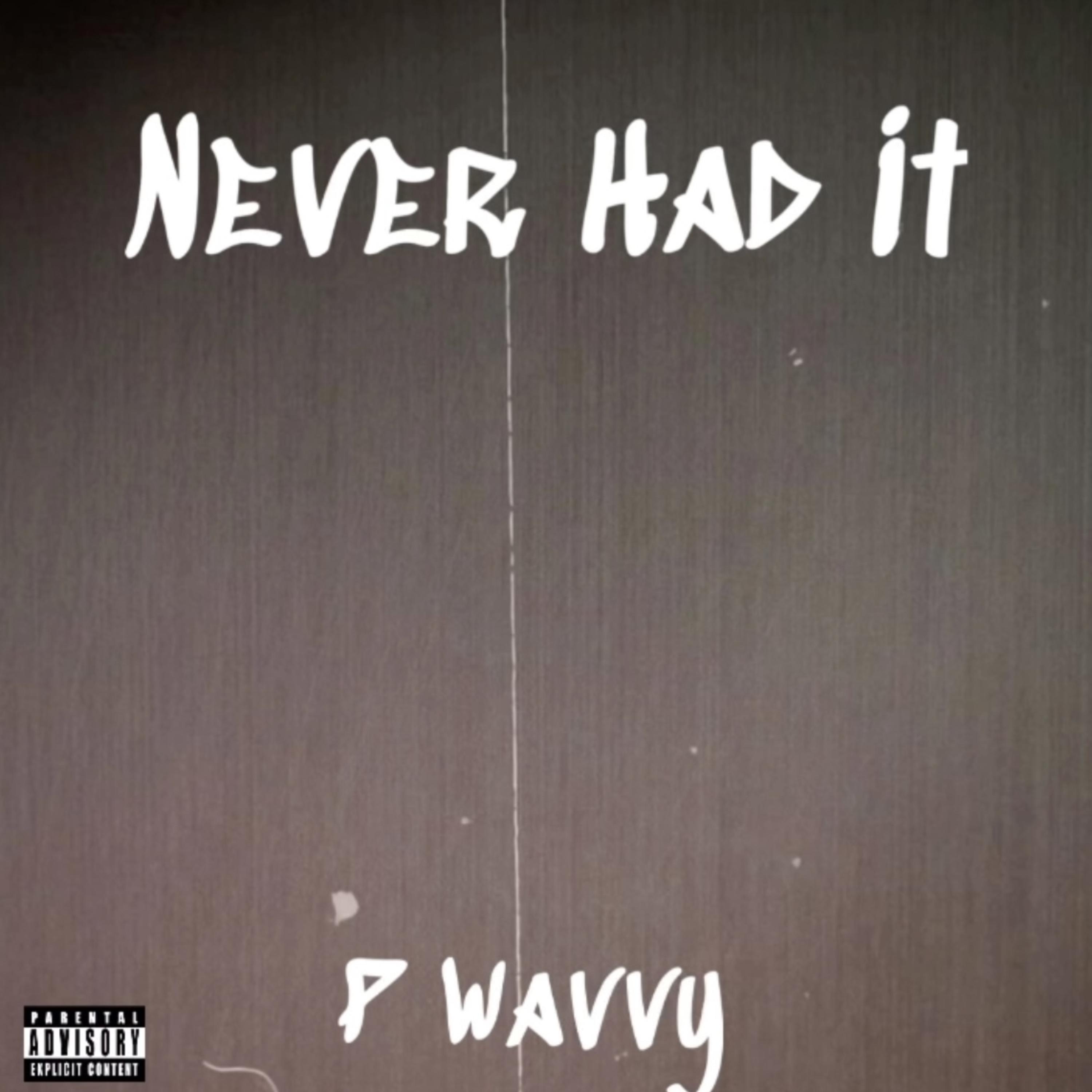 Never Had It artwork