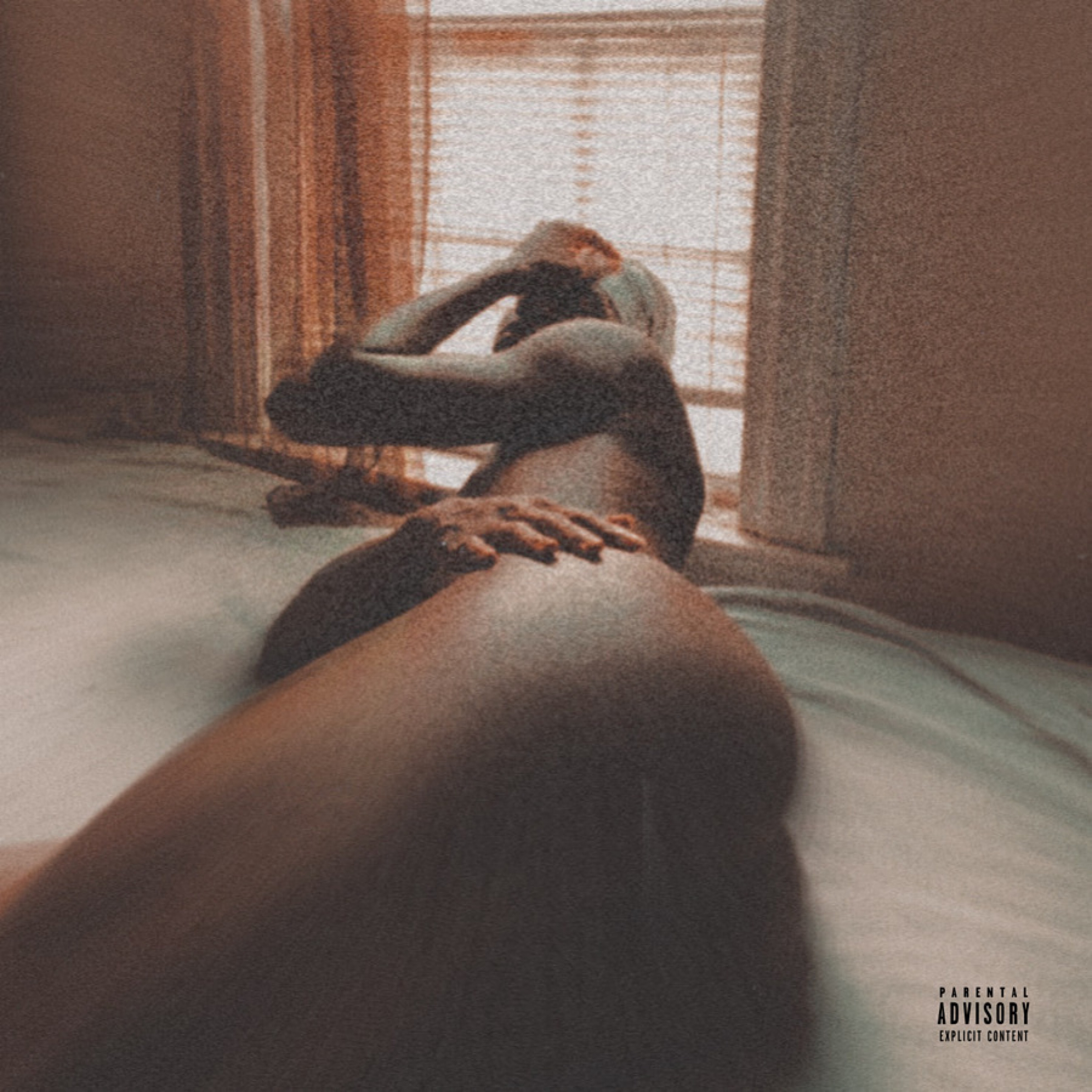 Survivor's Diary by Montez Malone cover art