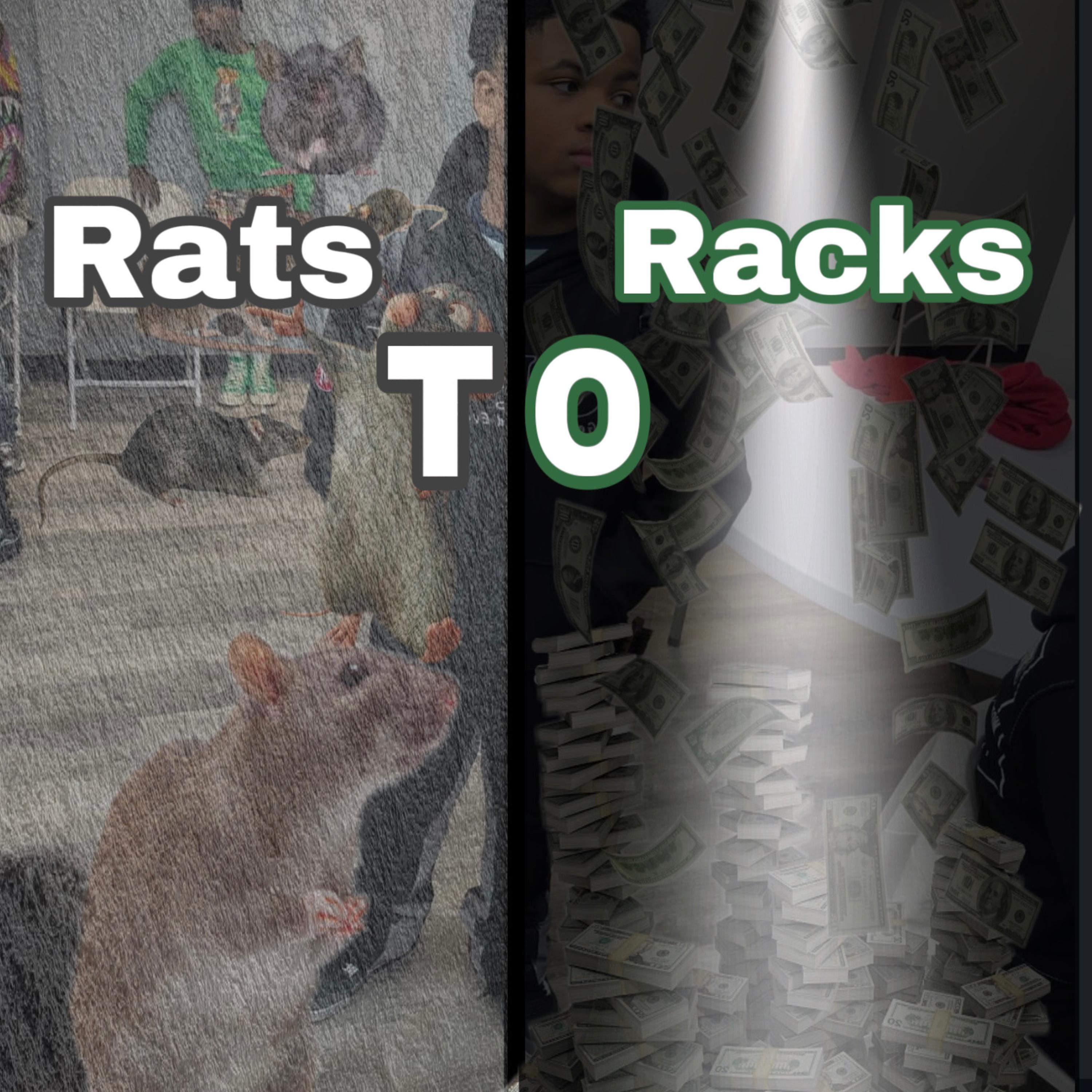 Rats To Racks artwork