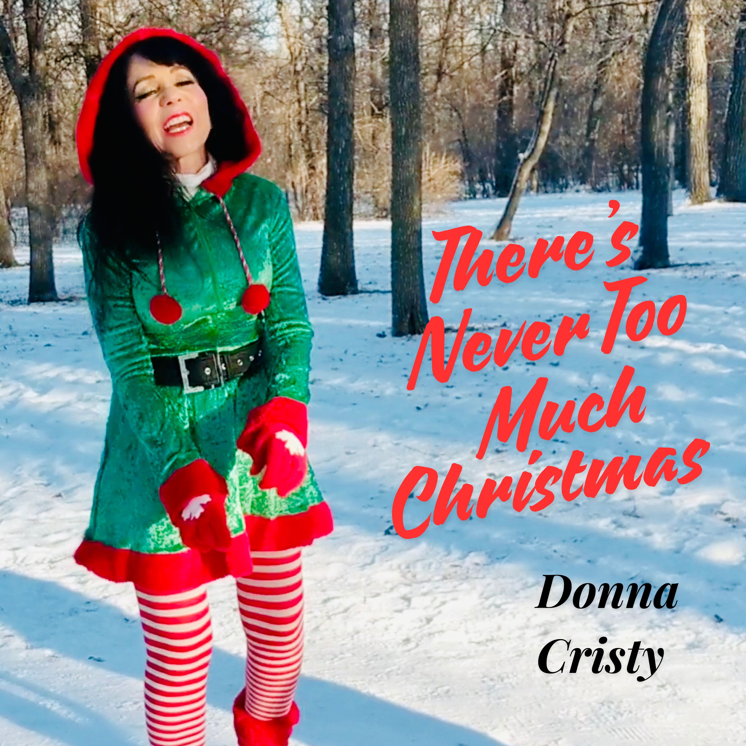 There's Never Too Much Christmas artwork