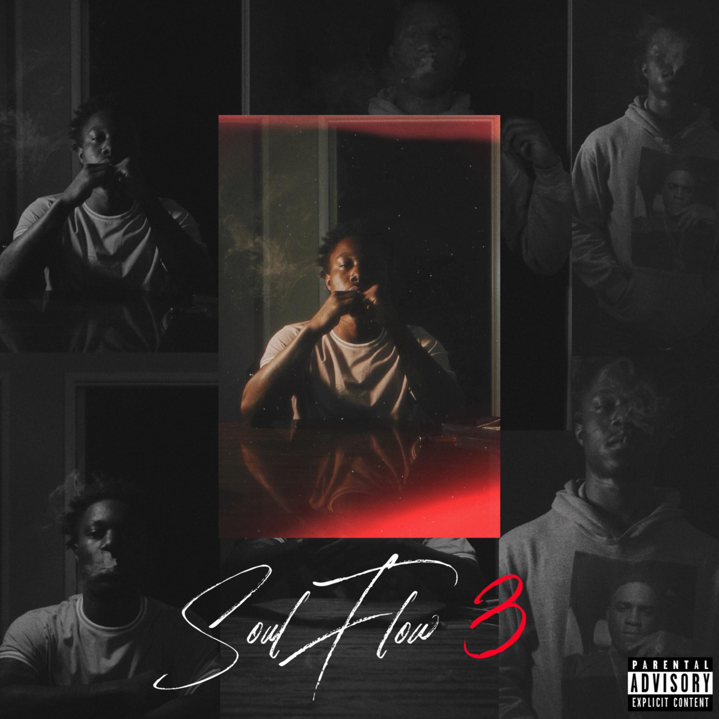 Soul Flow 3 artwork
