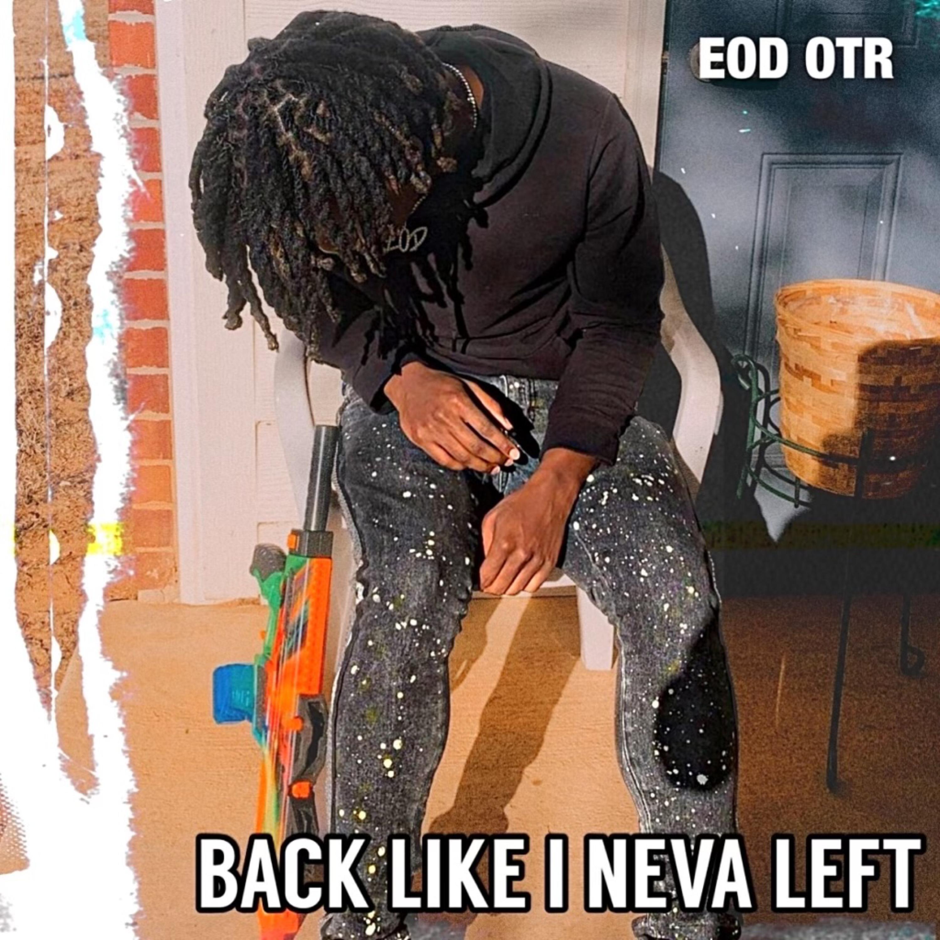 Back Like I Never Left artwork