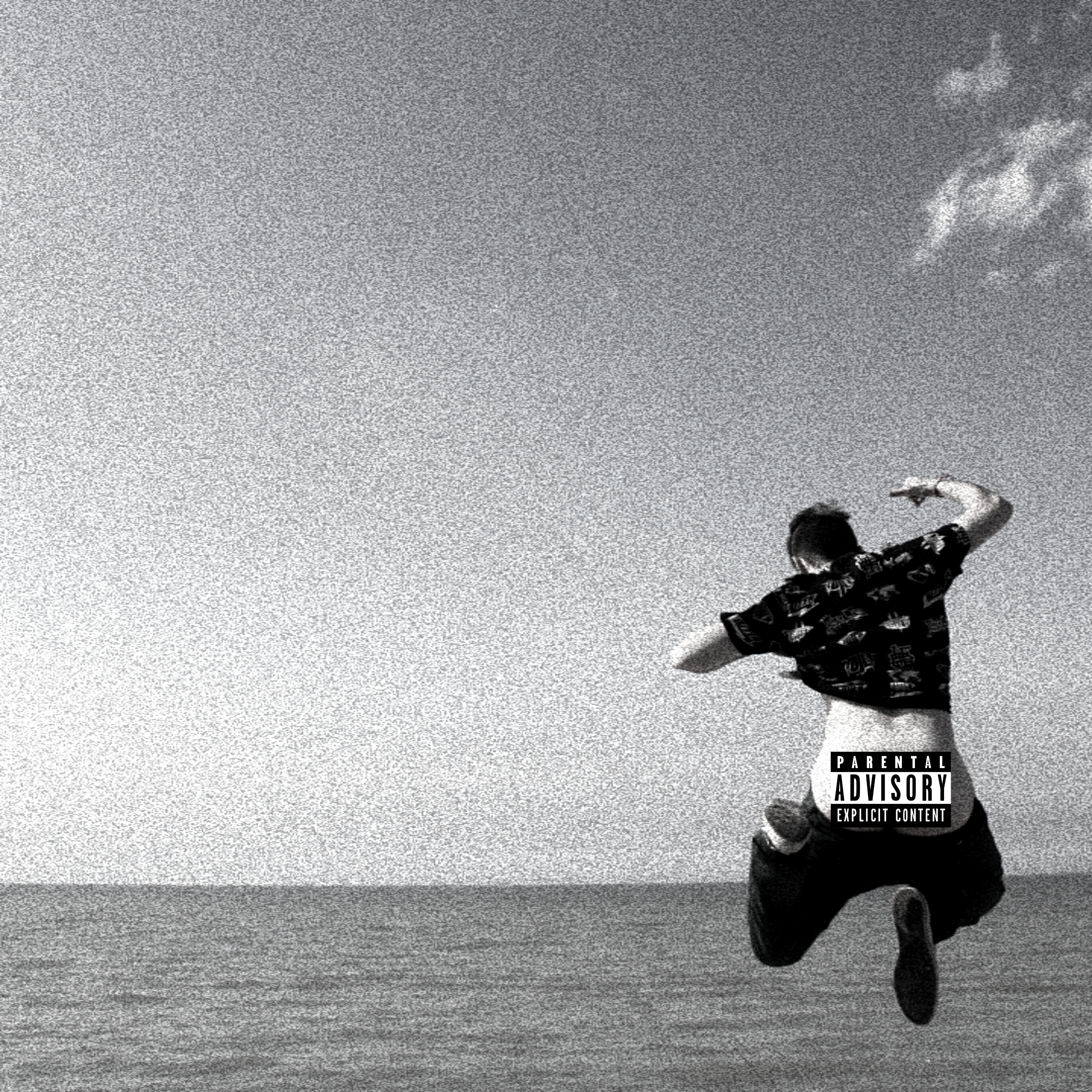 Low Quality Music 4 High Quality People artwork