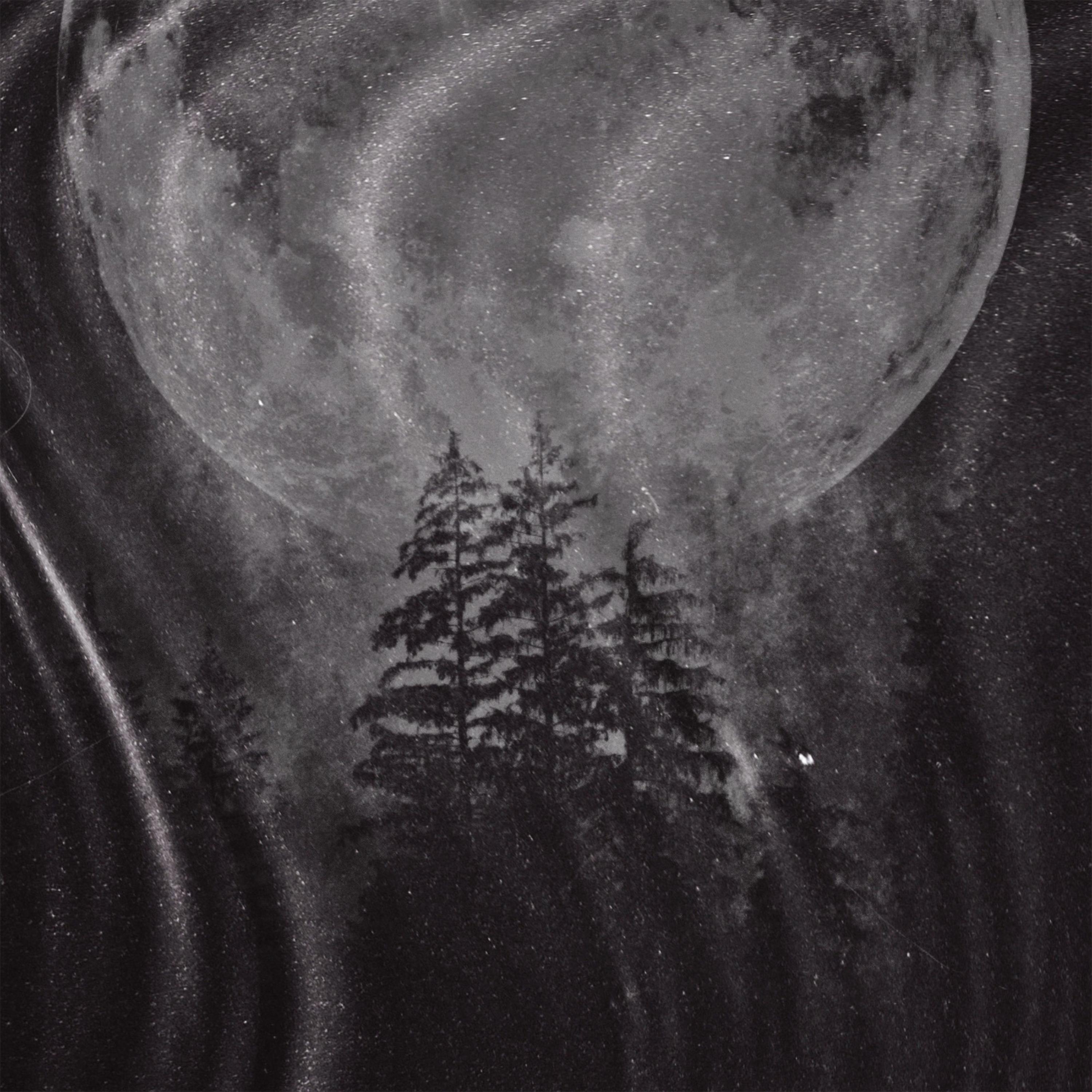 The Beginning… artwork