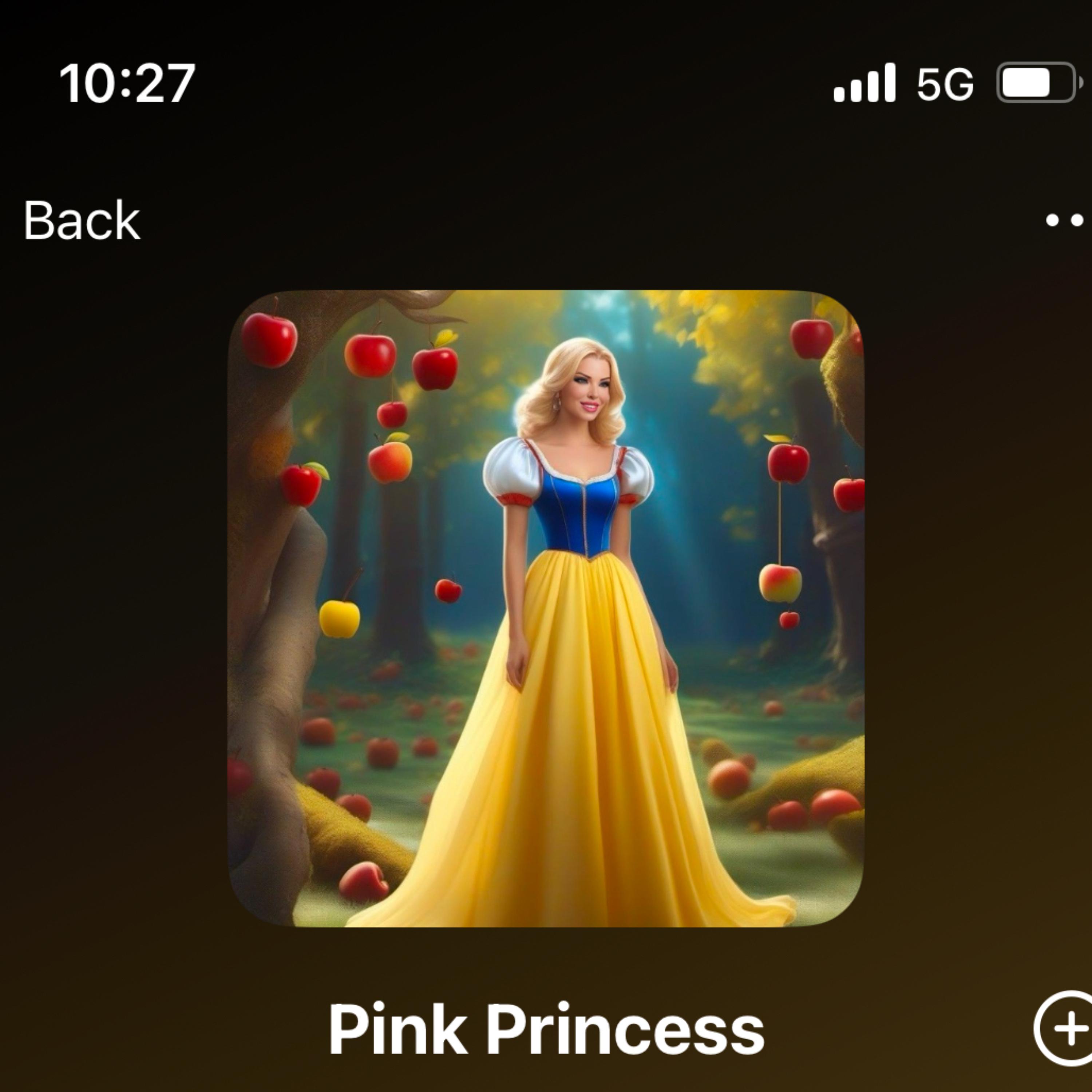 Pink Princess artwork