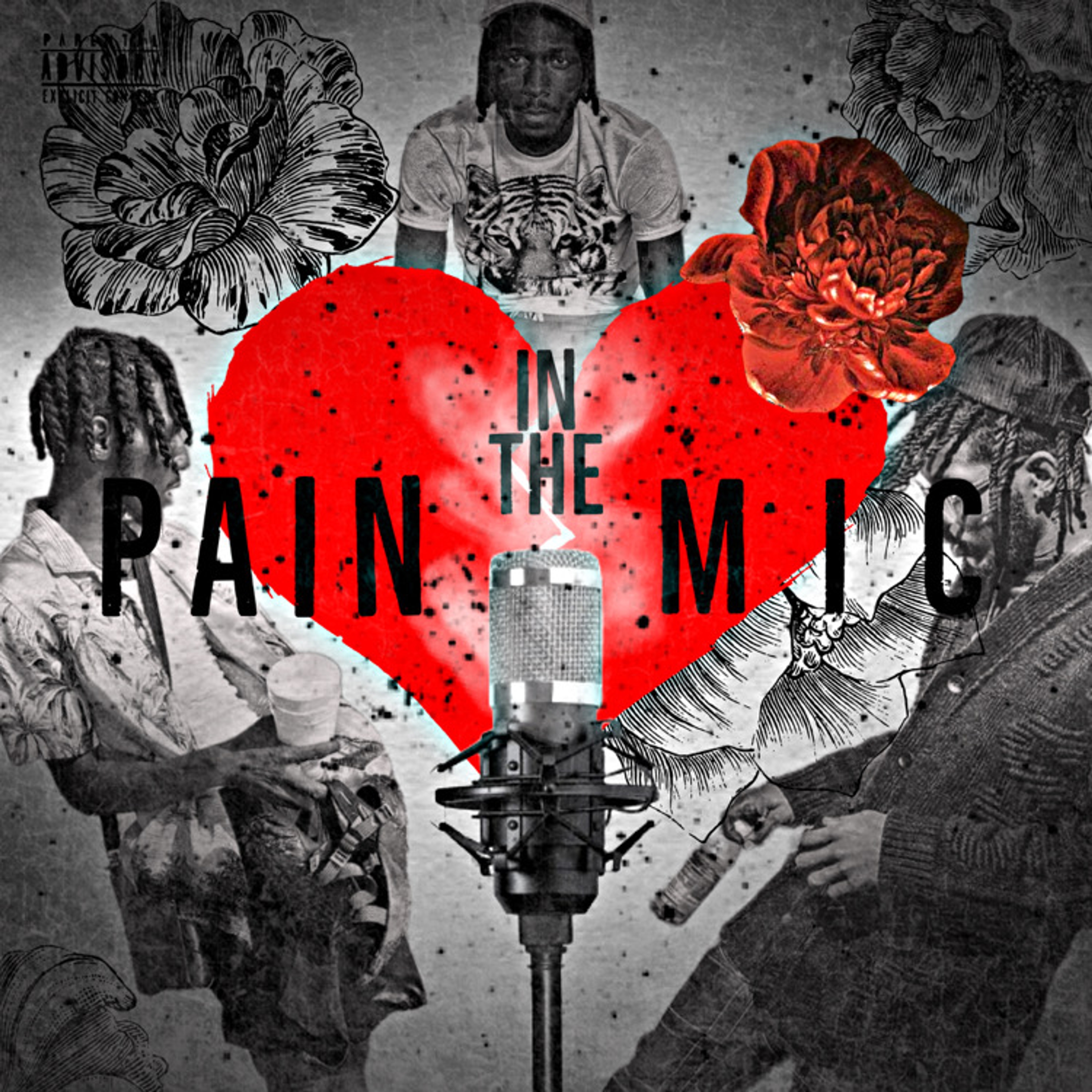 Pain In The Mic  by Zeepeso cover art