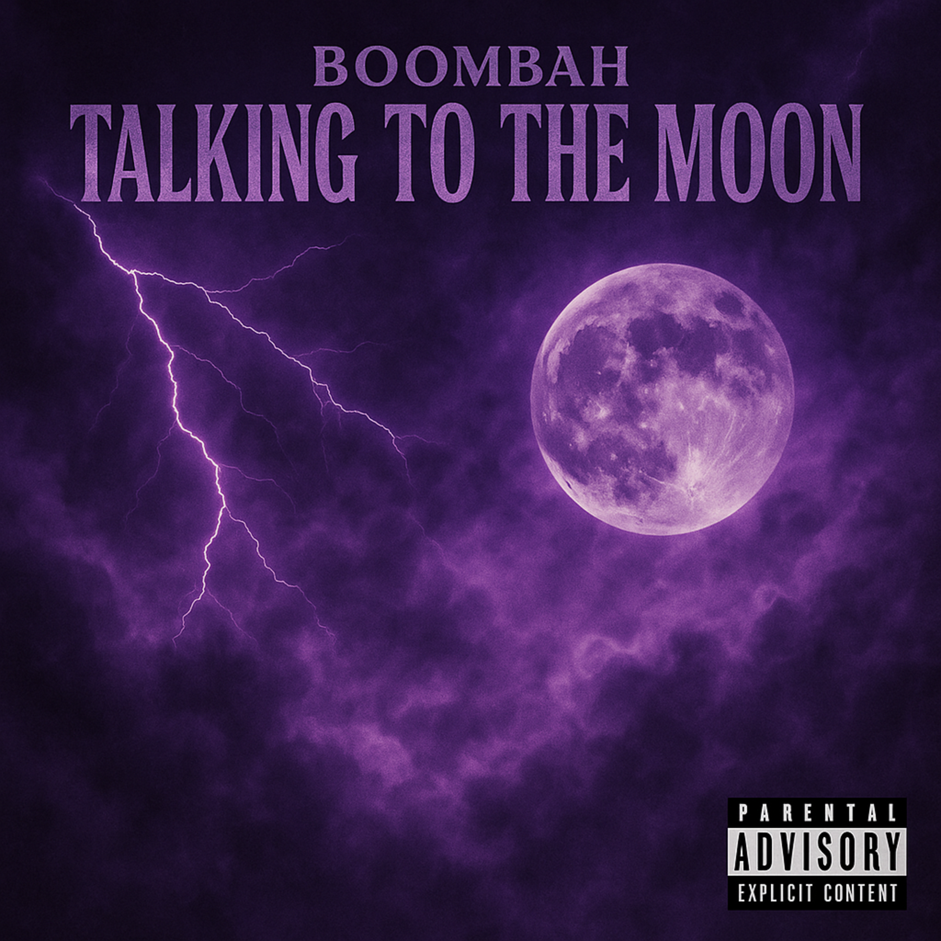Talking To The Moon artwork