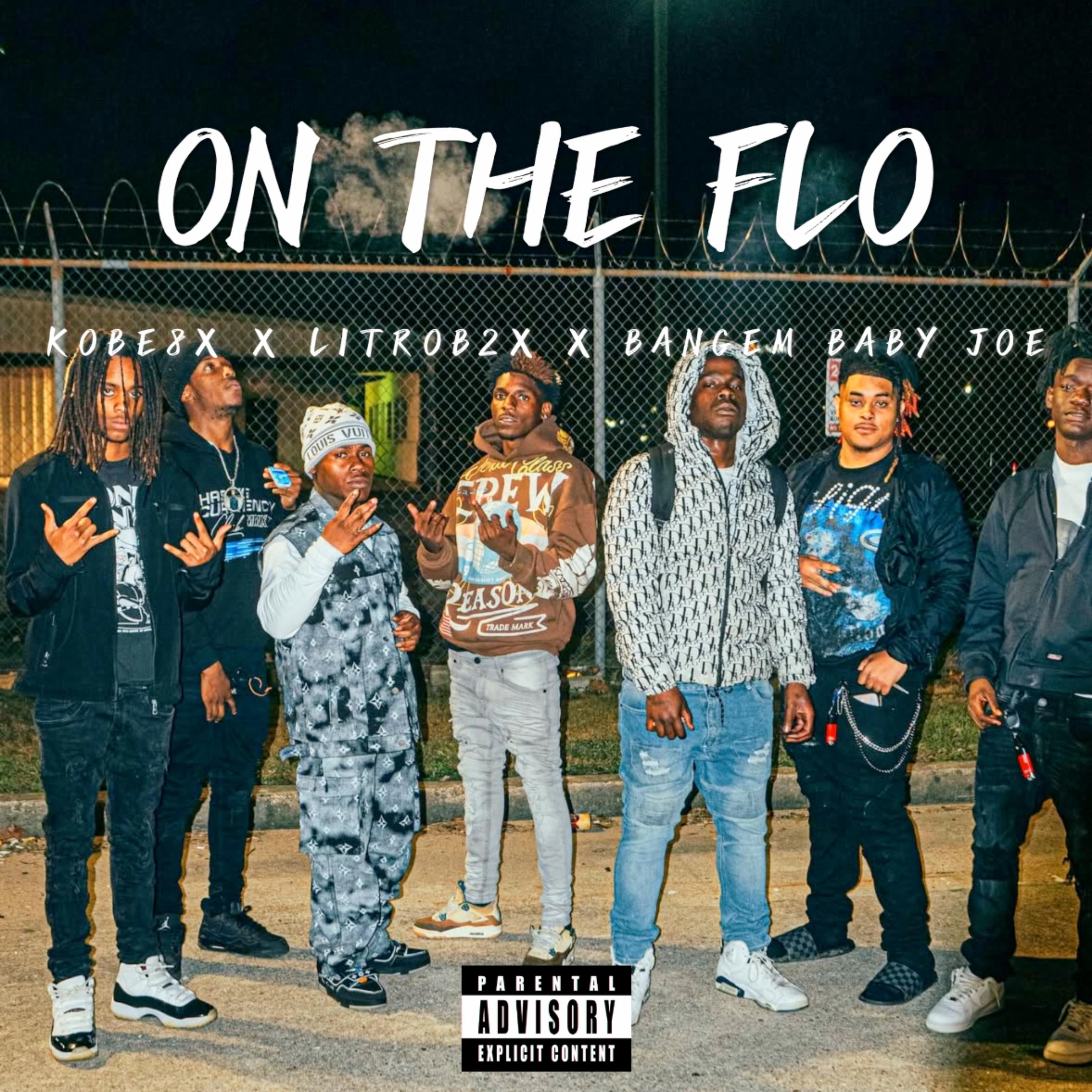 On The Flo artwork