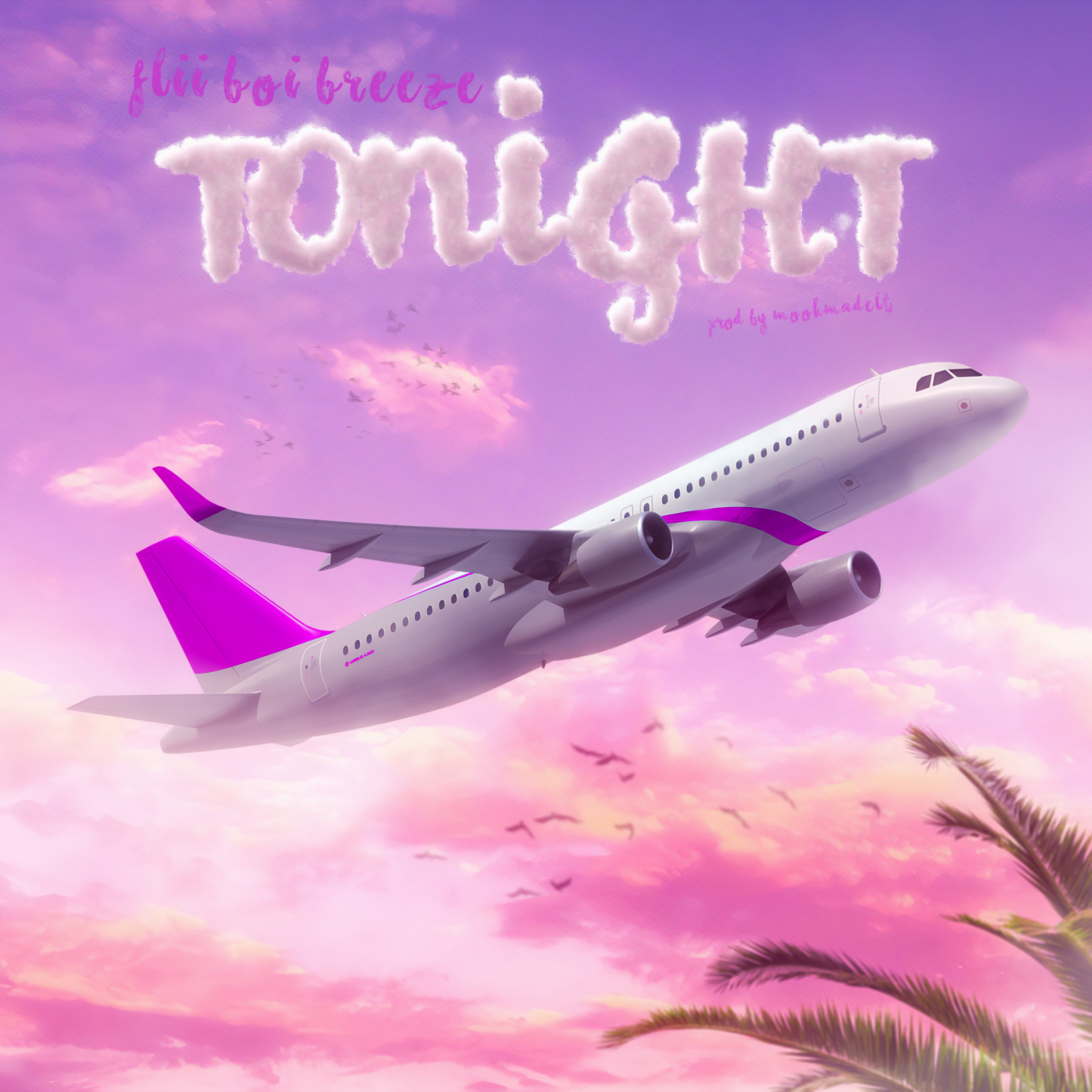 Tonight by Flii Boi Breeze cover art