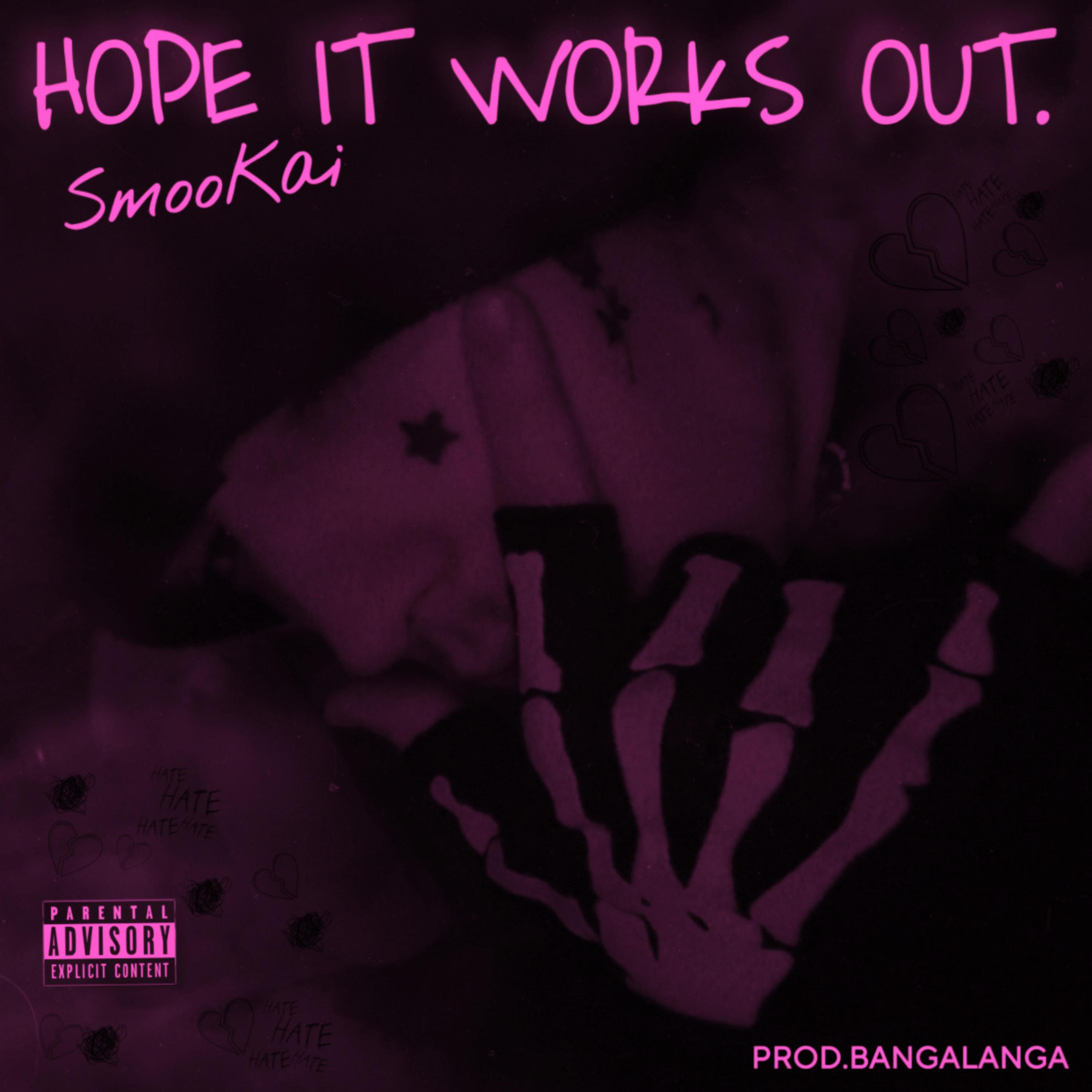 HOPE IT WORKS OUT. artwork