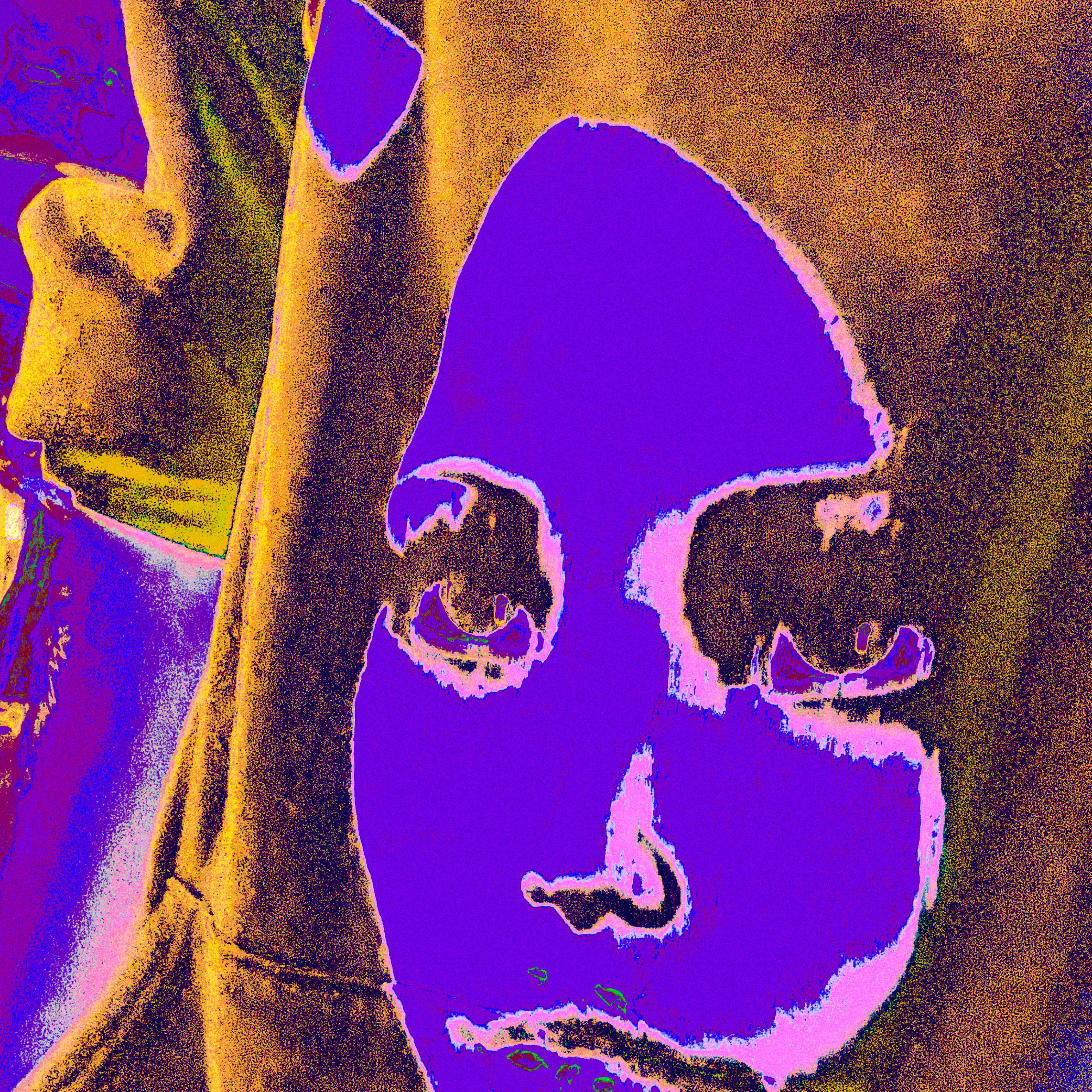 Voodoo! artwork