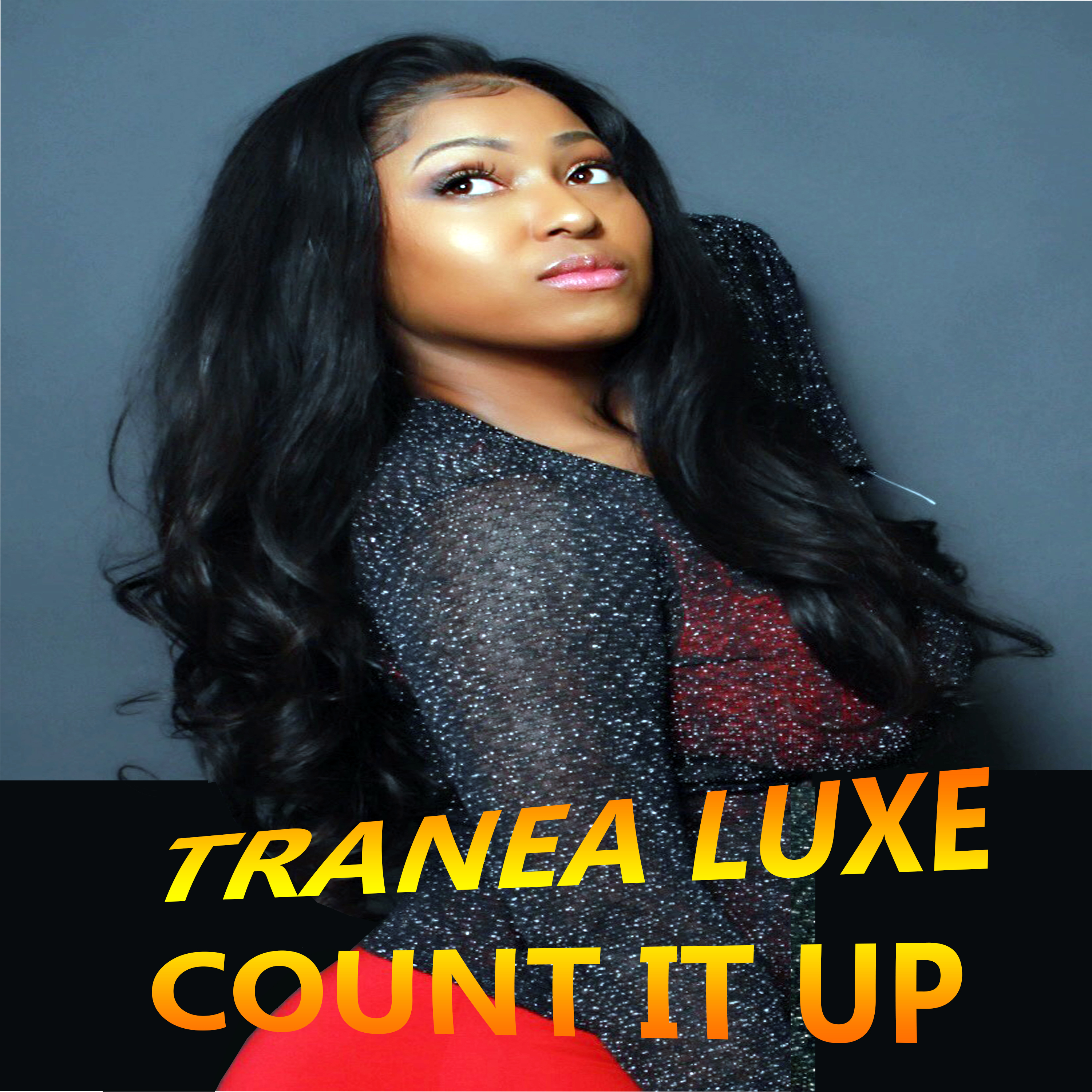COUNT IT UP by Tranea Luxe cover art