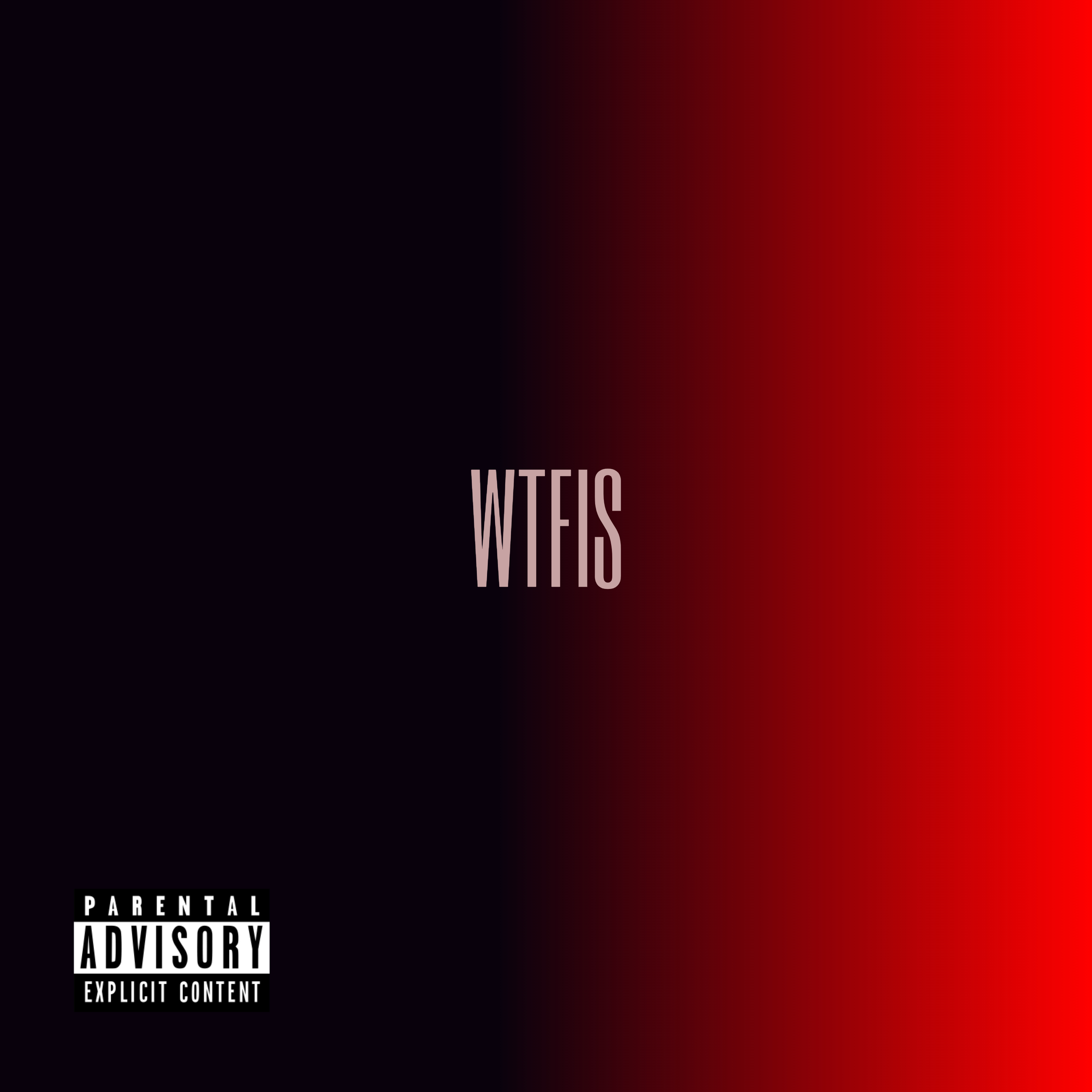 Who The Fuck Is Shroom artwork