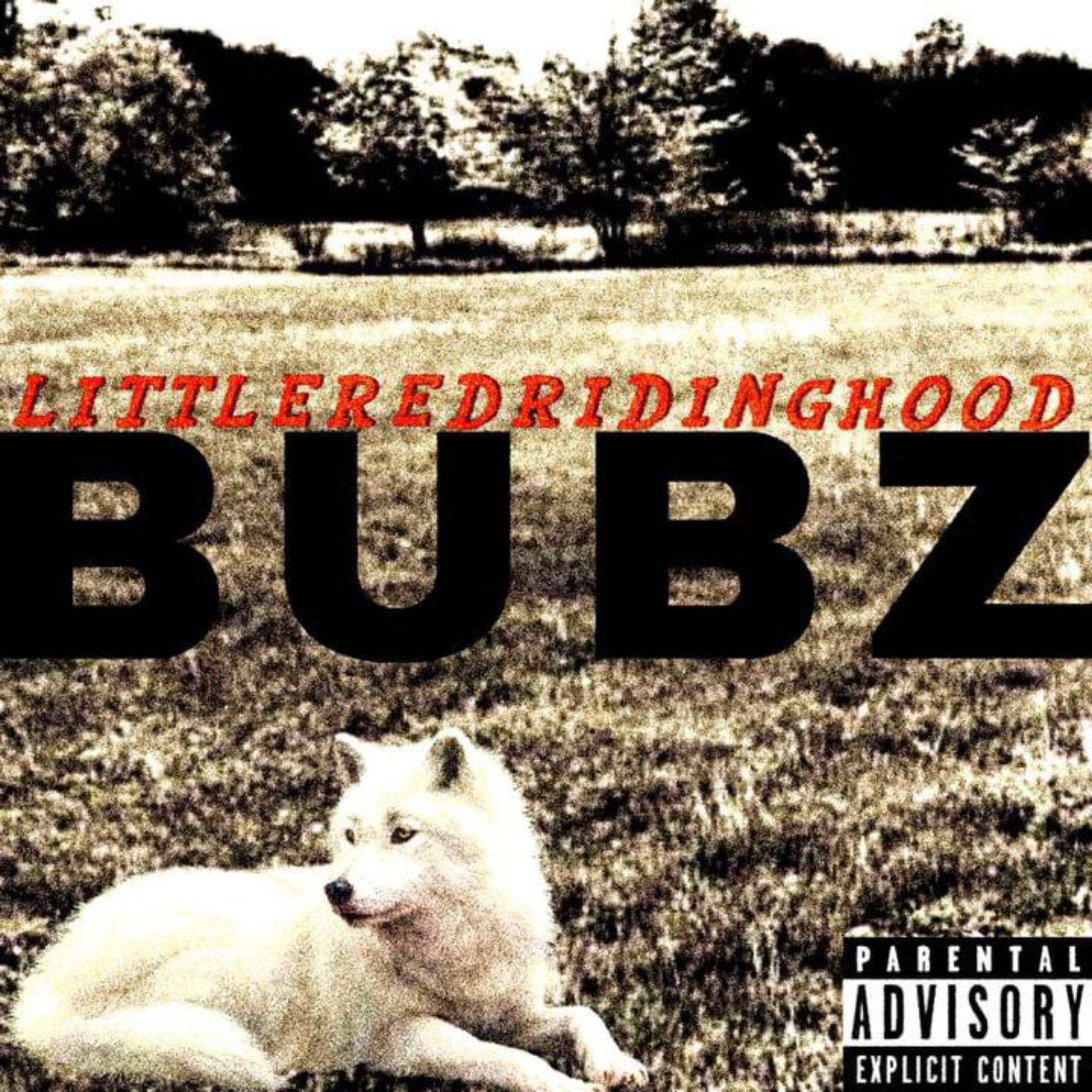 LittleRedRIDINGHood artwork