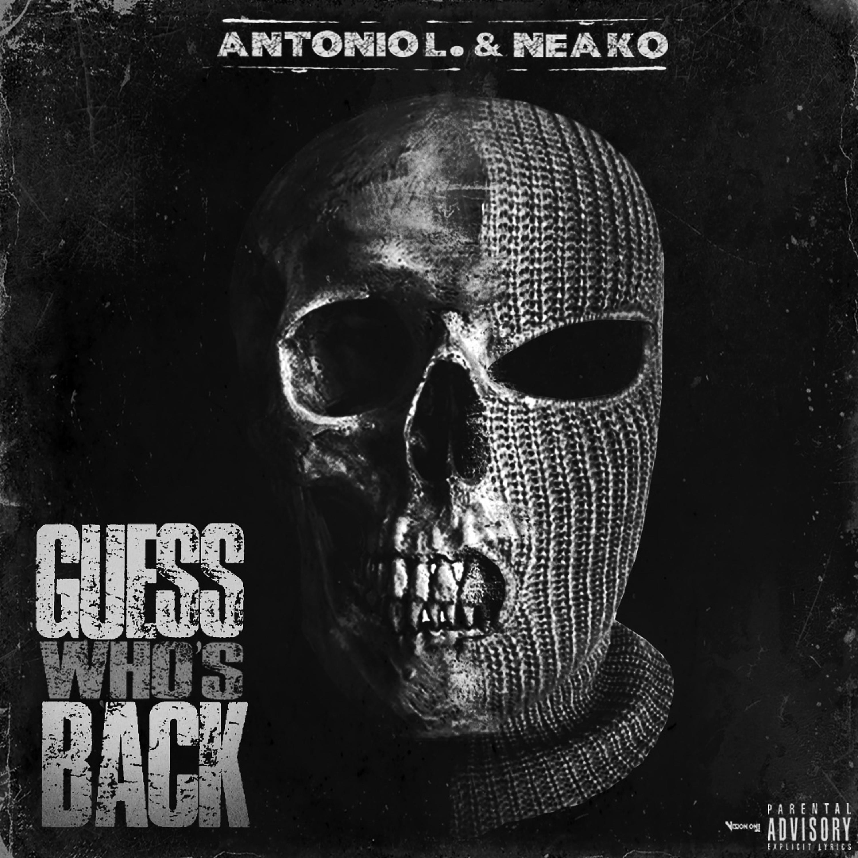 Guess Who's Back artwork