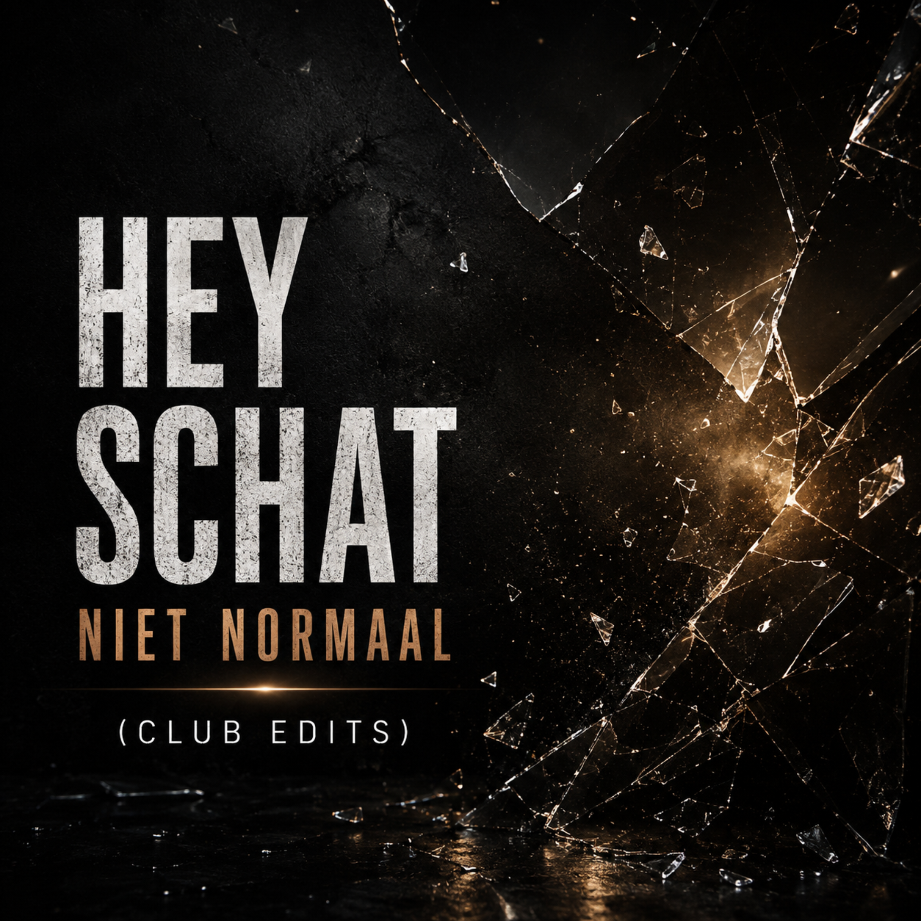 HEY SCHAT — NIET NORMAAL (CLUB EDITS) by Tugce Yurek Bozok cover art