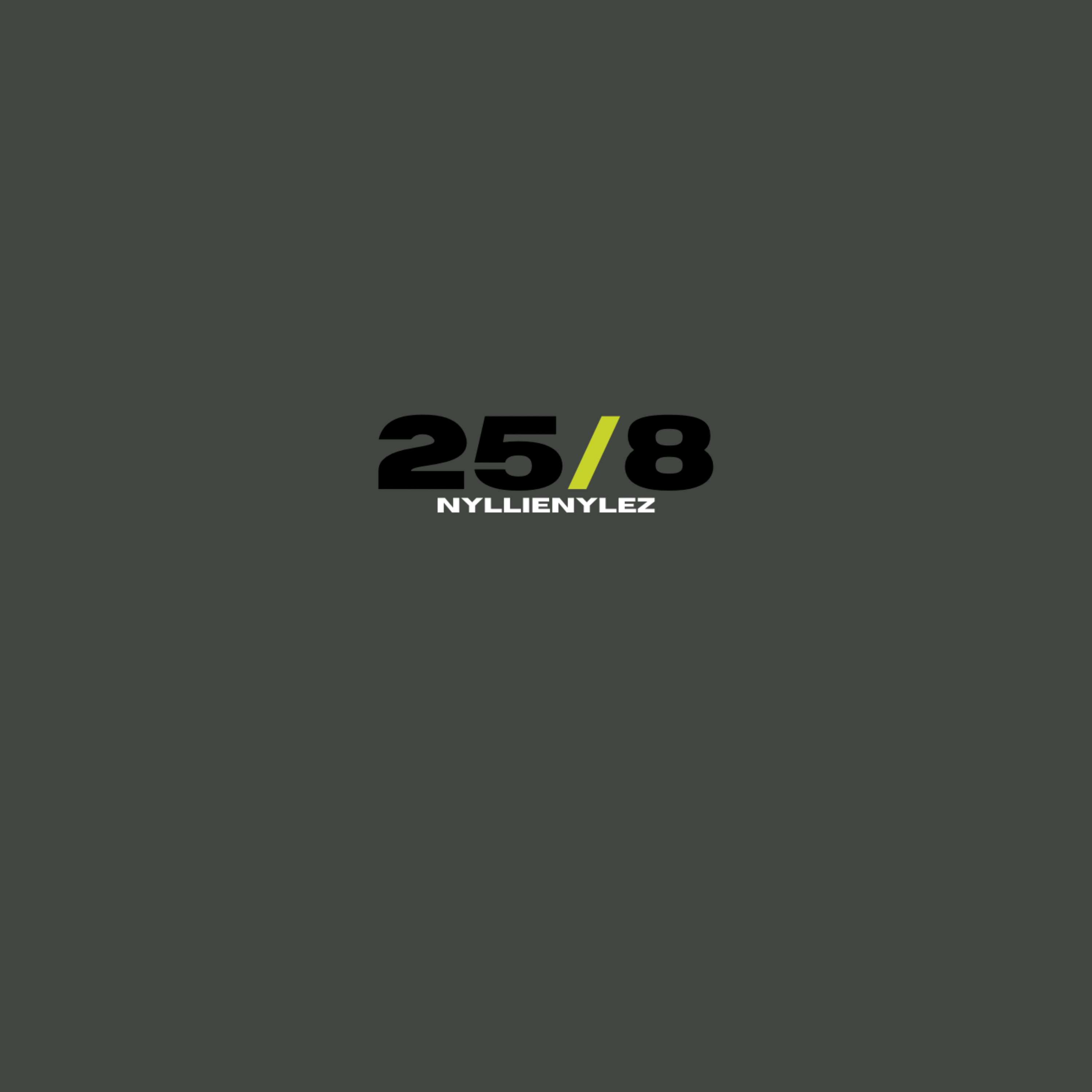 25/8 artwork