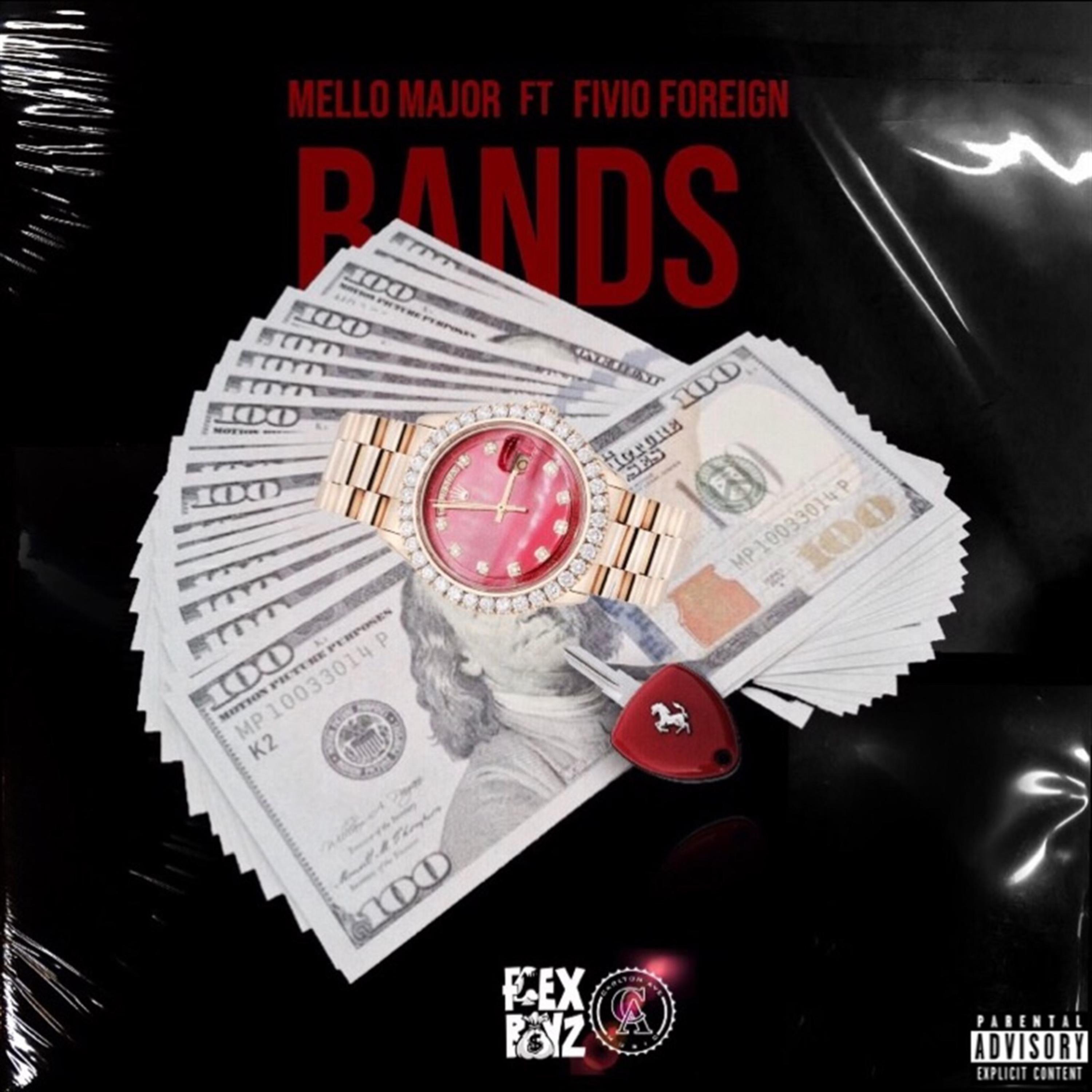BANDS artwork